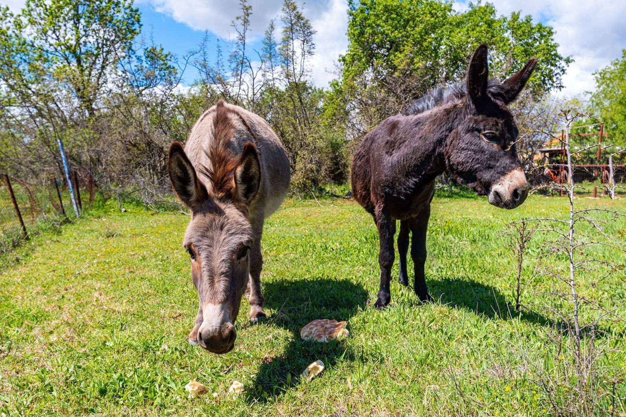 Luxury Villa Escape-Sfeer