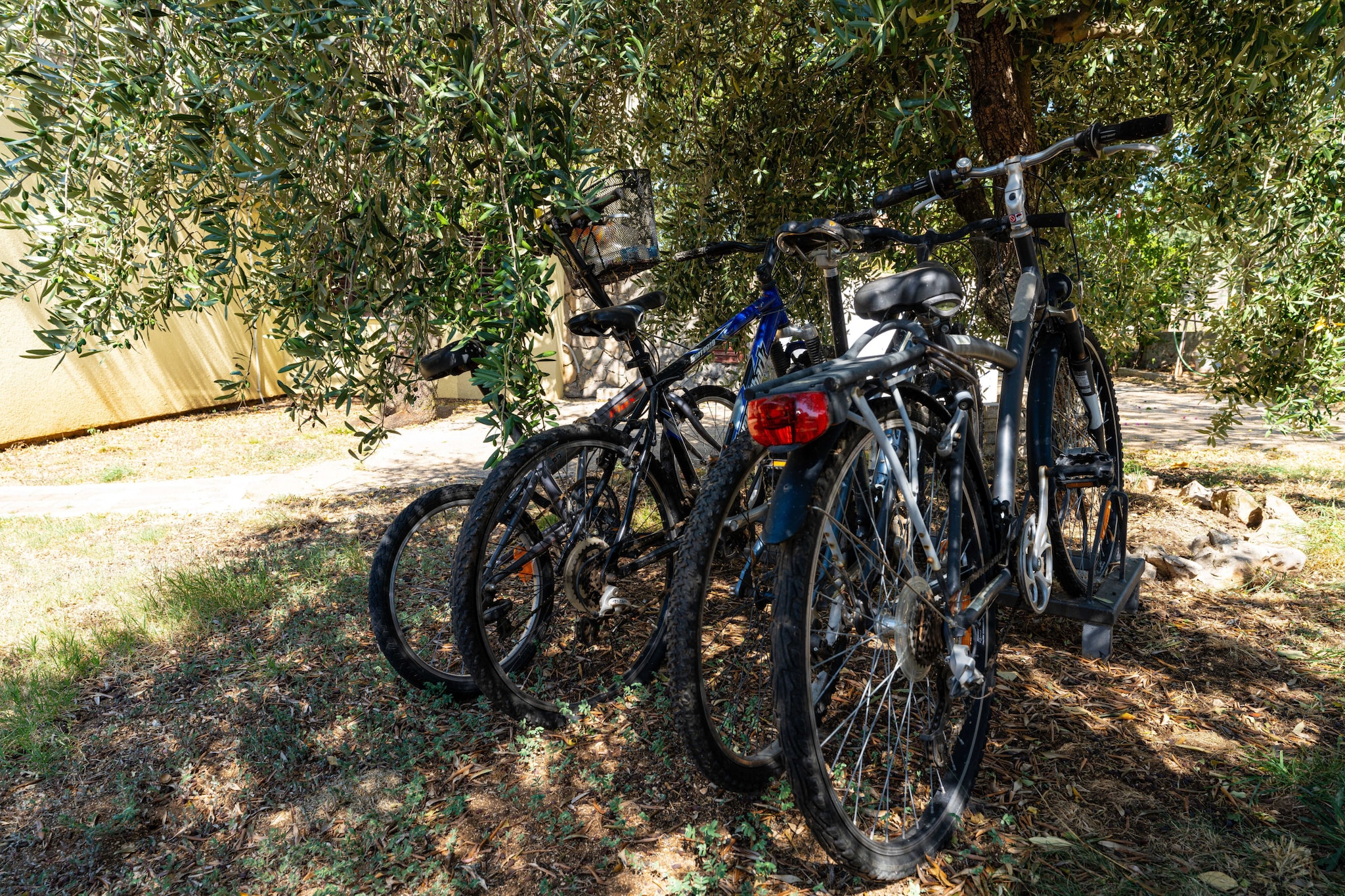 Holiday home Olive Garden-Faciliteiten