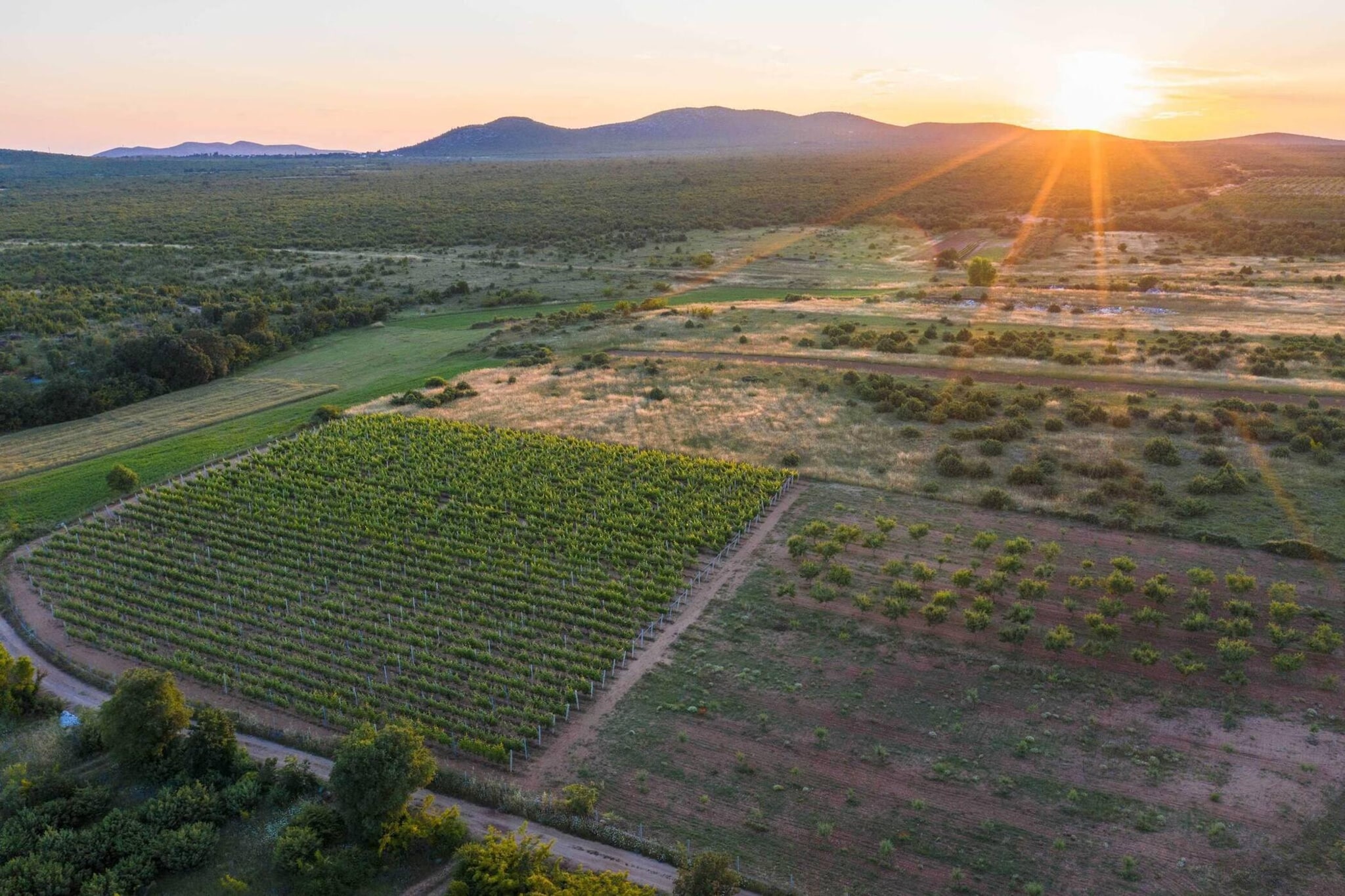 Authentic Villa Storia-Gebieden zomer 20km