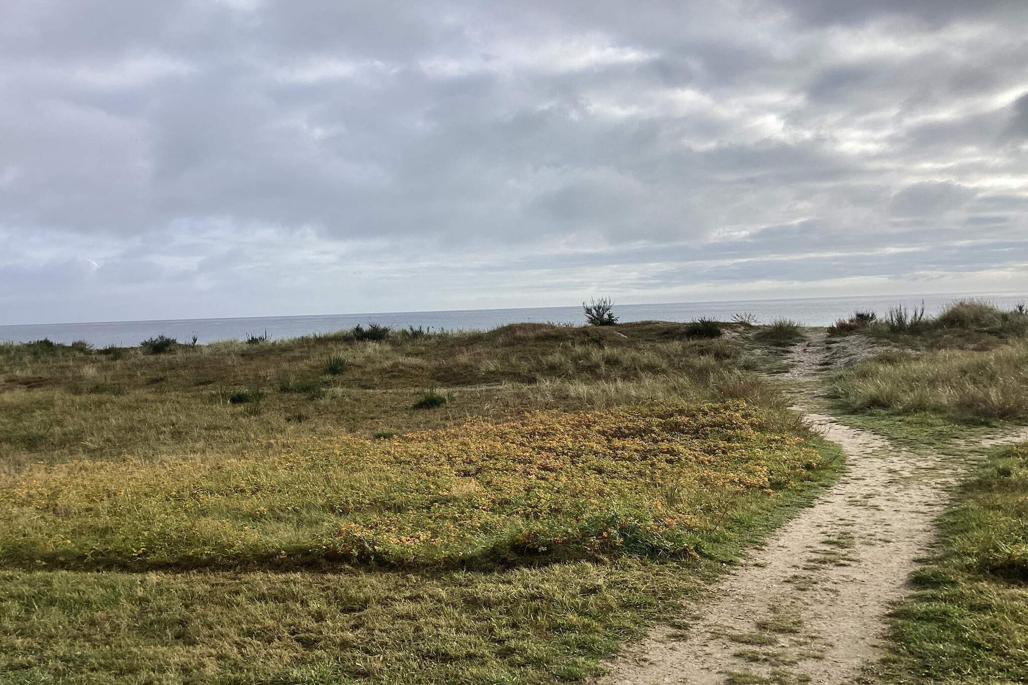 6 Personen vakantie huis in Væggerløse-Buitenlucht