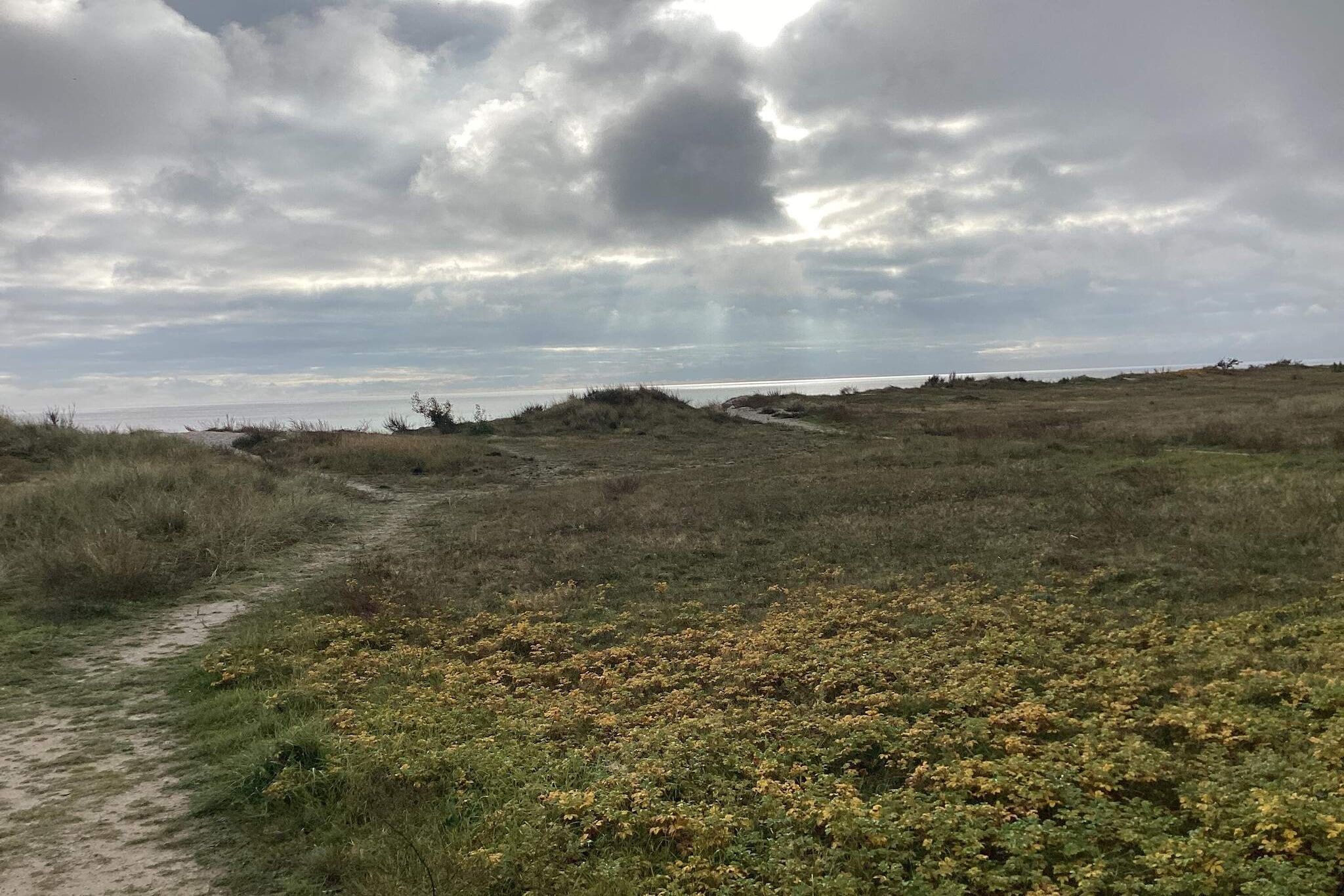 6 Personen vakantie huis in Væggerløse-Buitenlucht