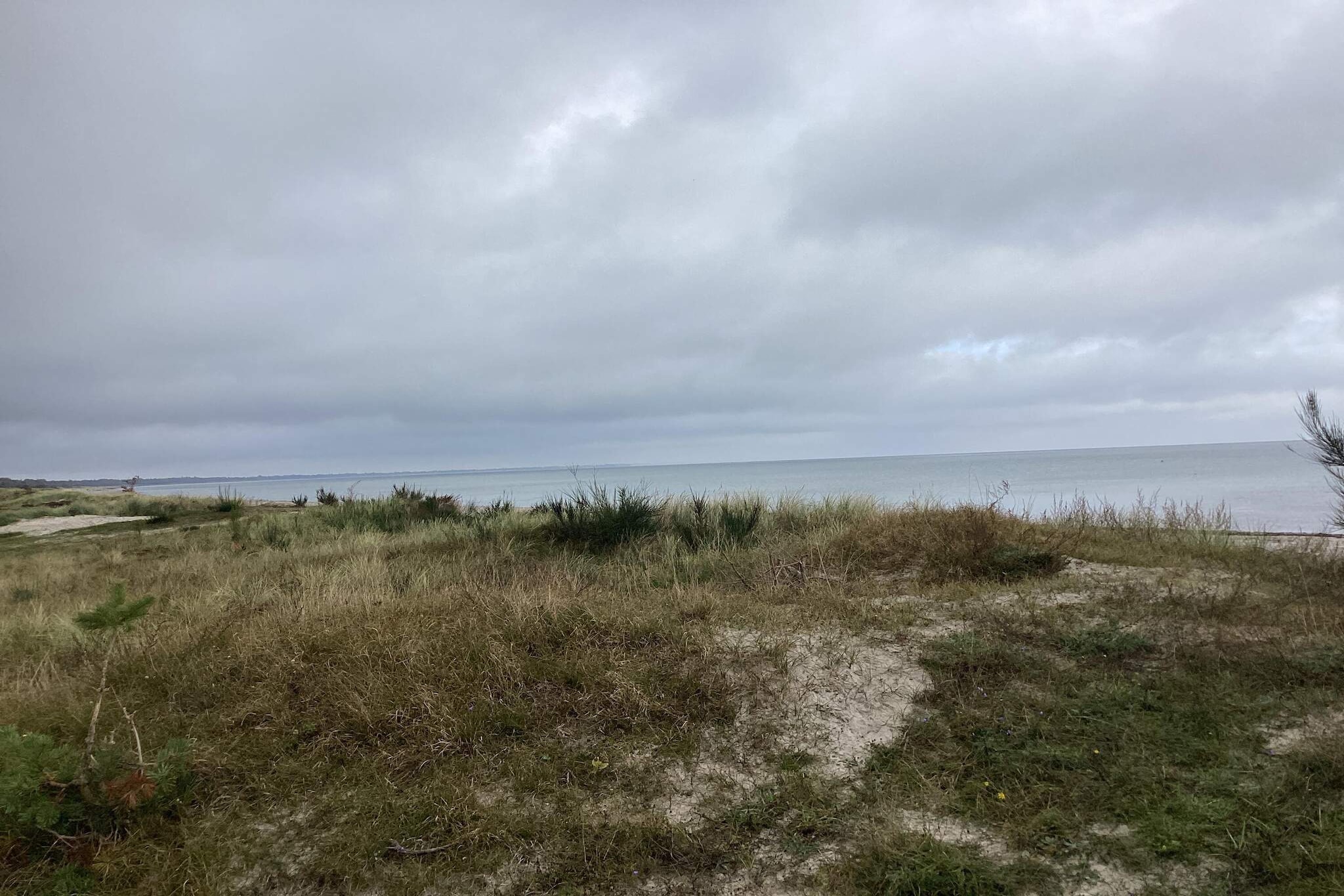 6 Personen vakantie huis in Væggerløse-Buitenlucht