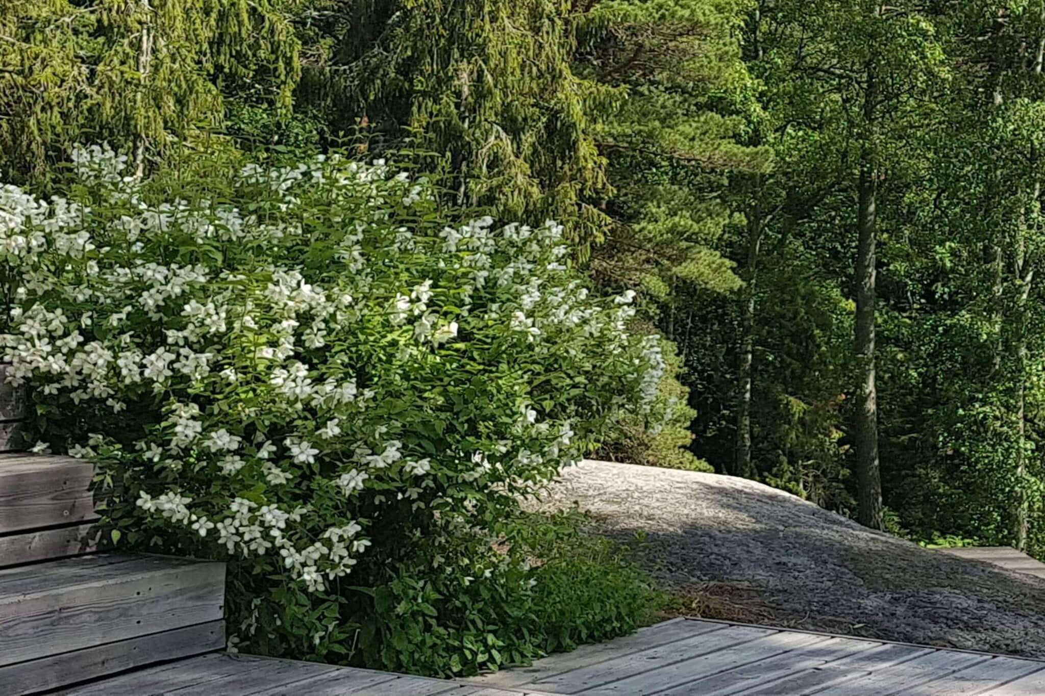 4 sterren vakantie huis in STAVSNÄS-Buitenlucht