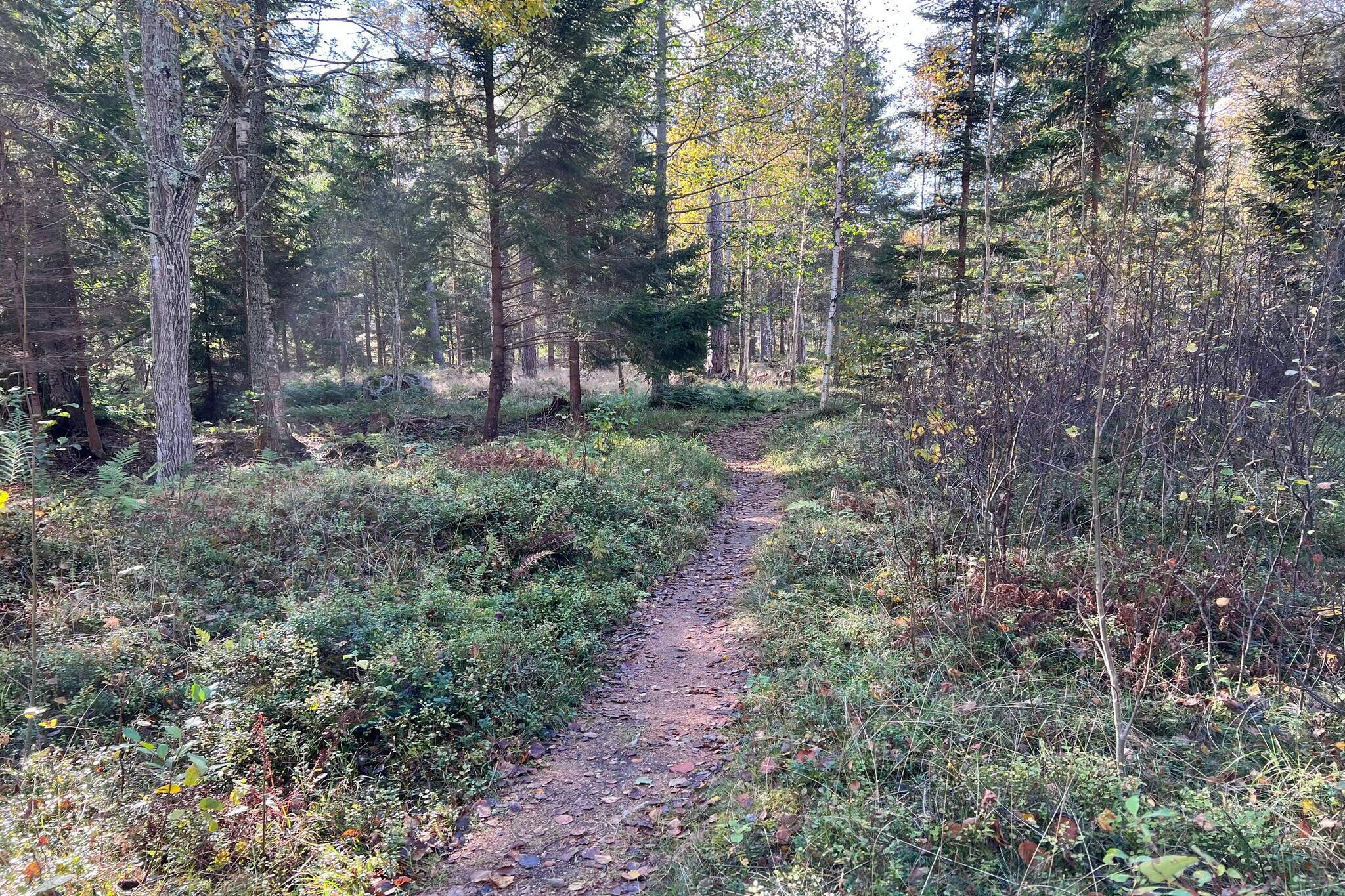 4 sterren vakantie huis in STAVSNÄS-Buitenlucht