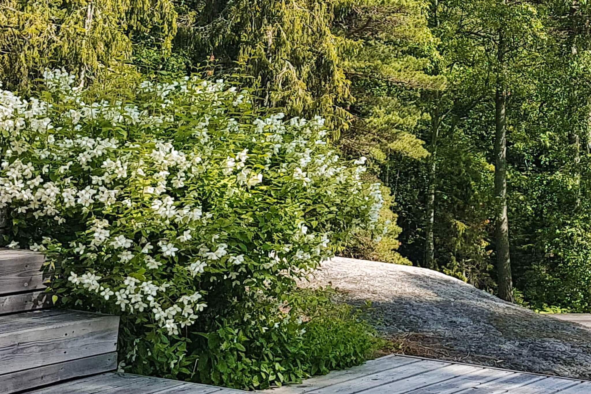 4 sterren vakantie huis in STAVSNÄS-Buitenlucht