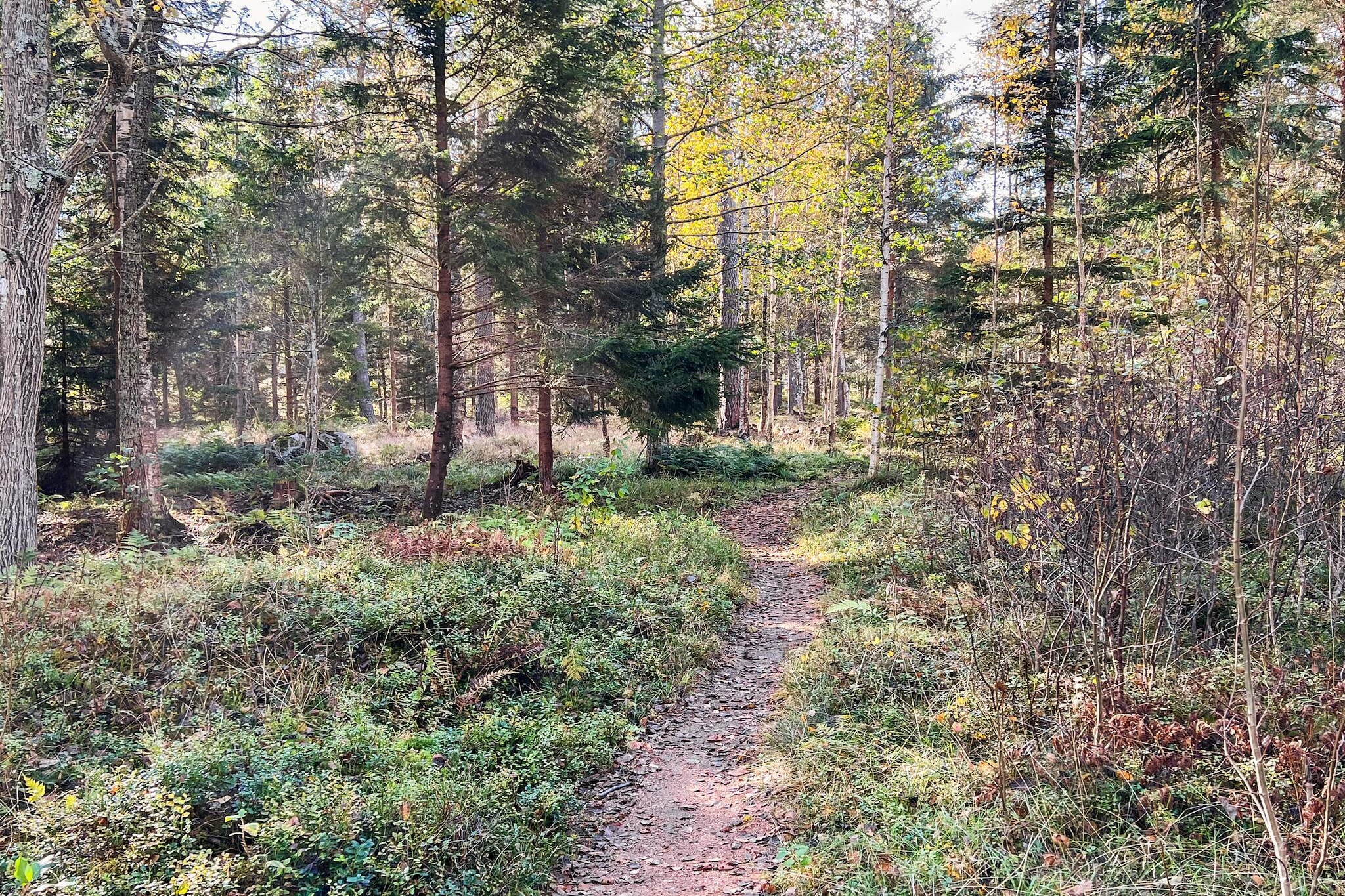 4 sterren vakantie huis in STAVSNÄS-Niet-getagd