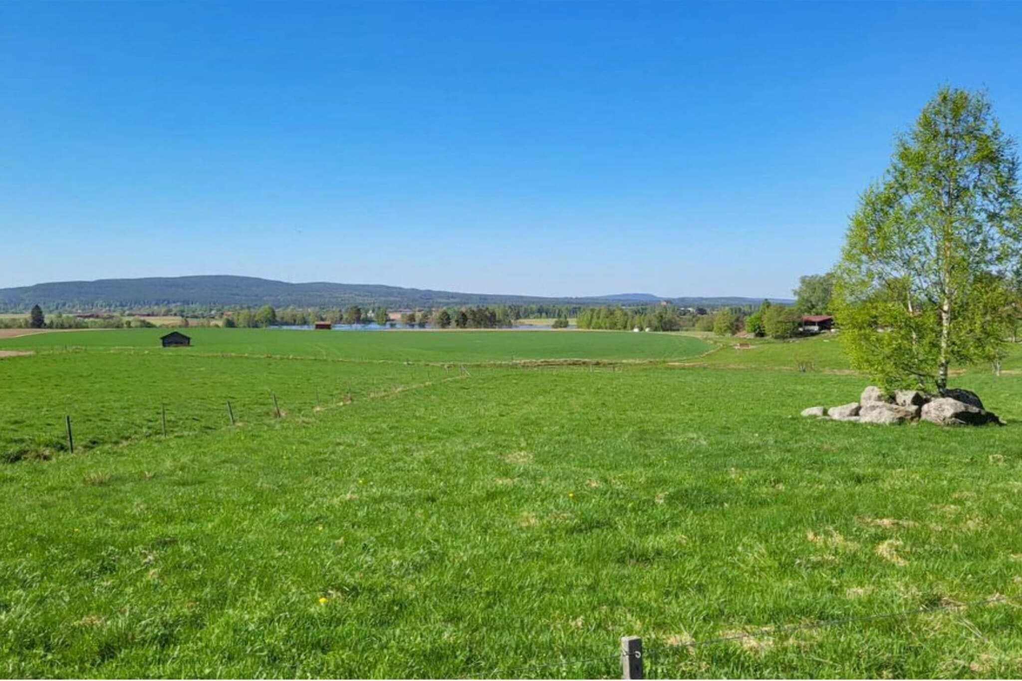 Gezellig vakantiehuis vlakbij bos en meer-Buitenlucht