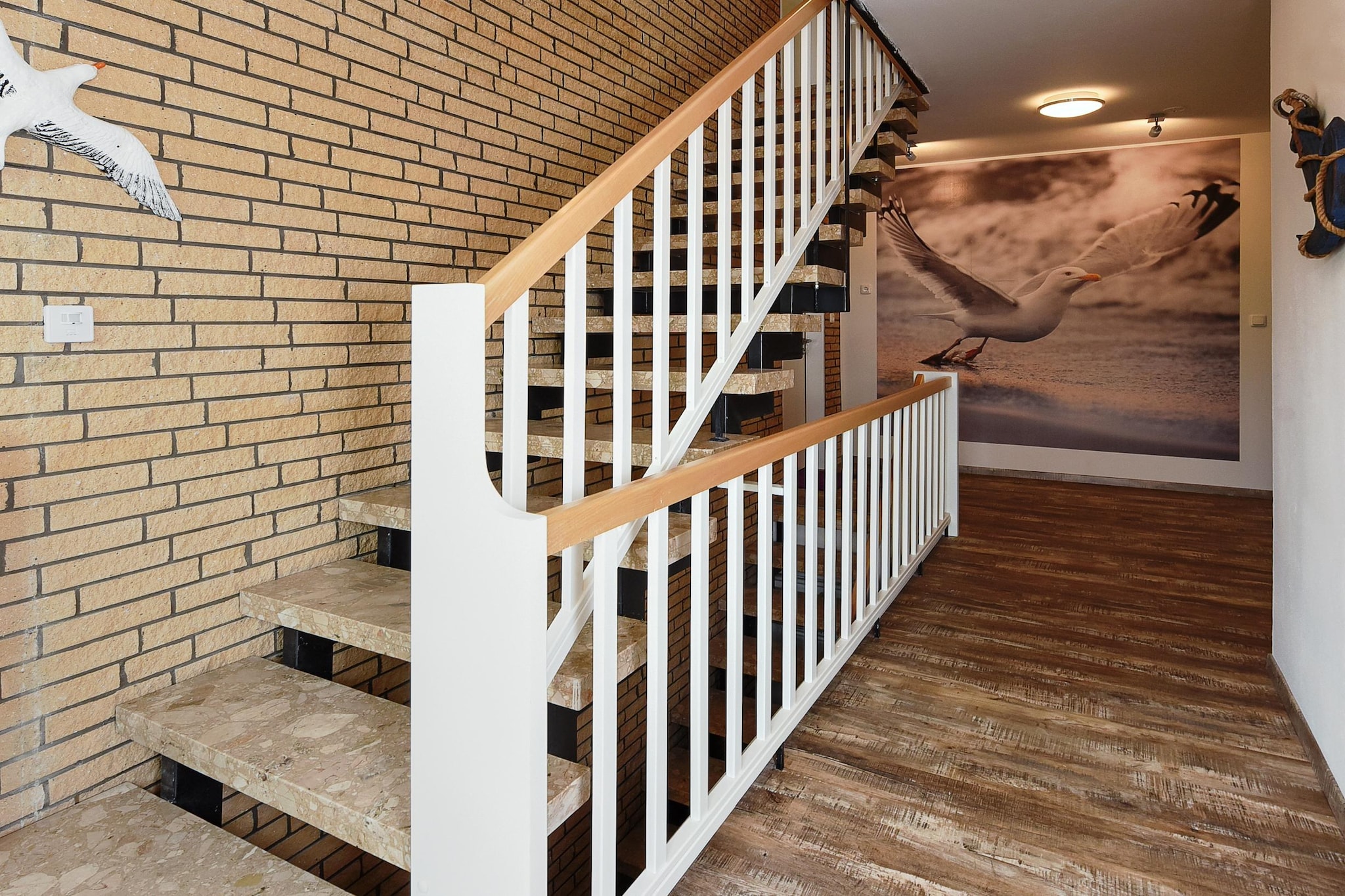 Haus zur Möwe 4-Escalier