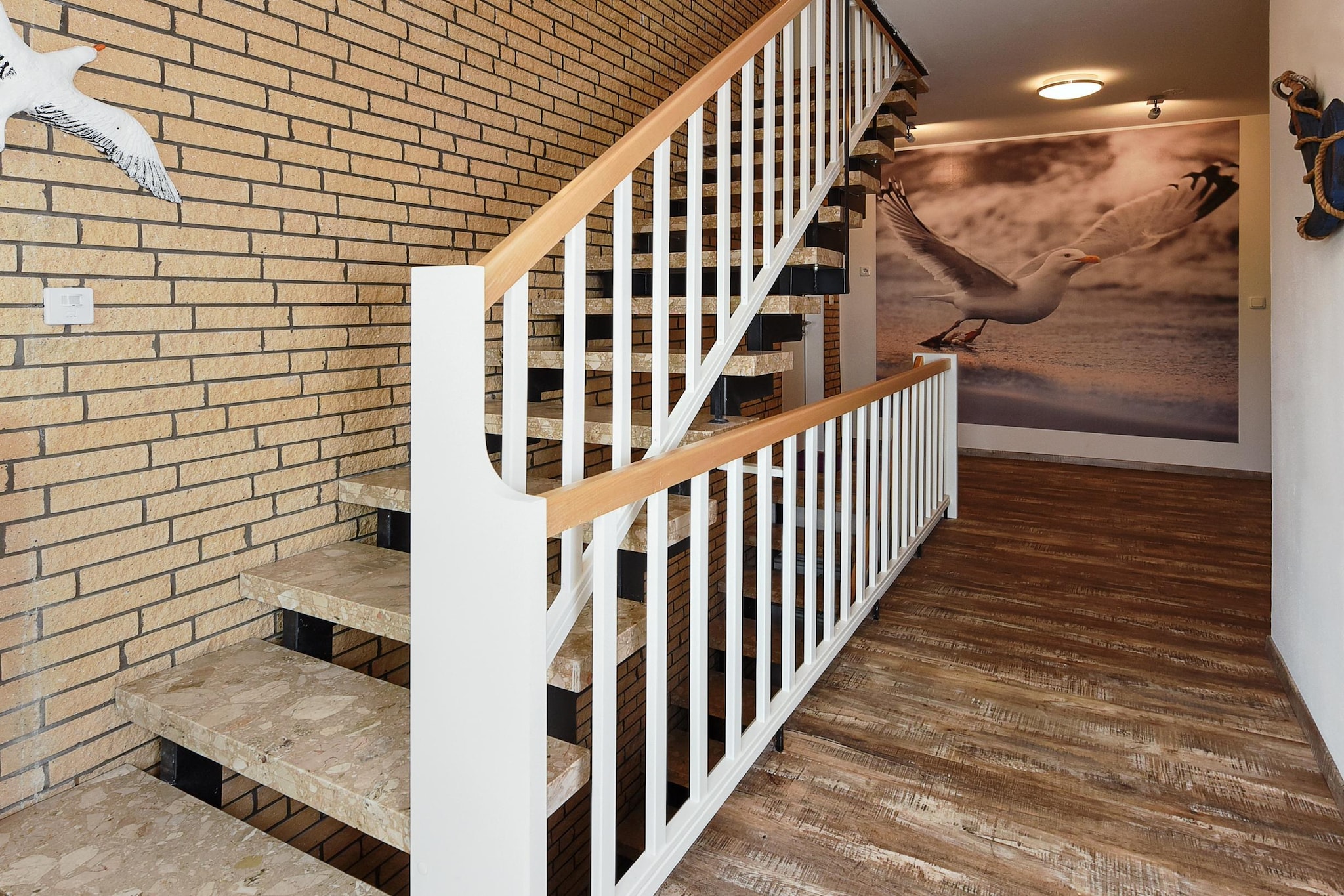 Haus zur Möwe 5-Escalier