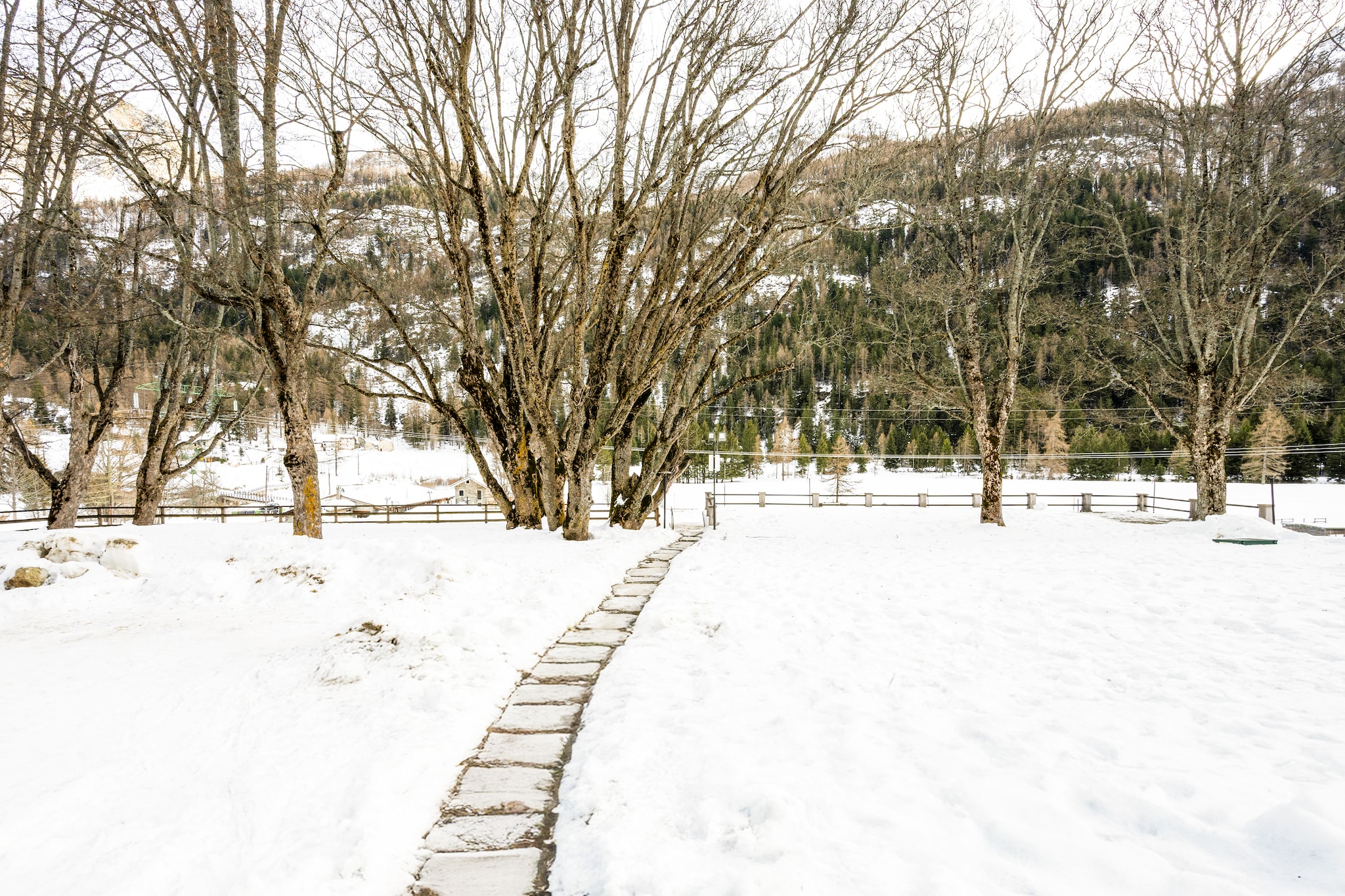 BILO 1 CERESOLE - Tuin winter