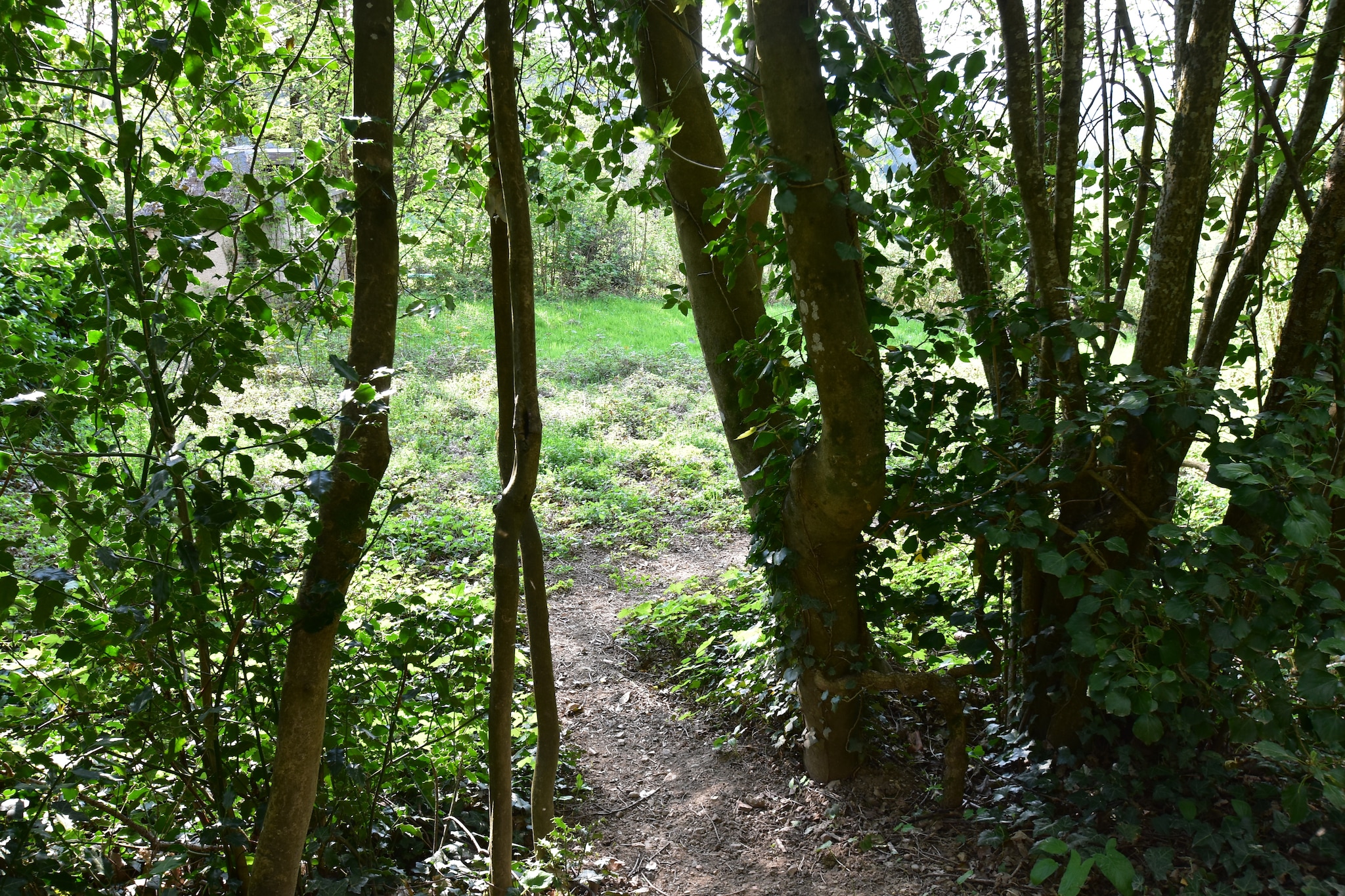 Laiterie du manoir de Thard - Gebieden zomer 1km