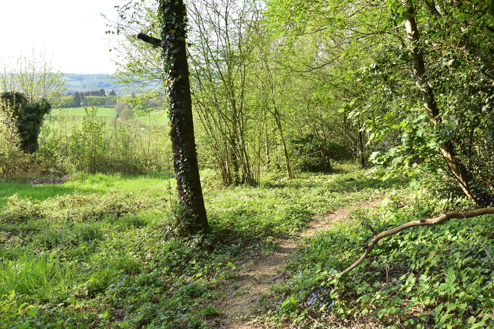 Laiterie du manoir de Thard - Gebieden zomer 1km