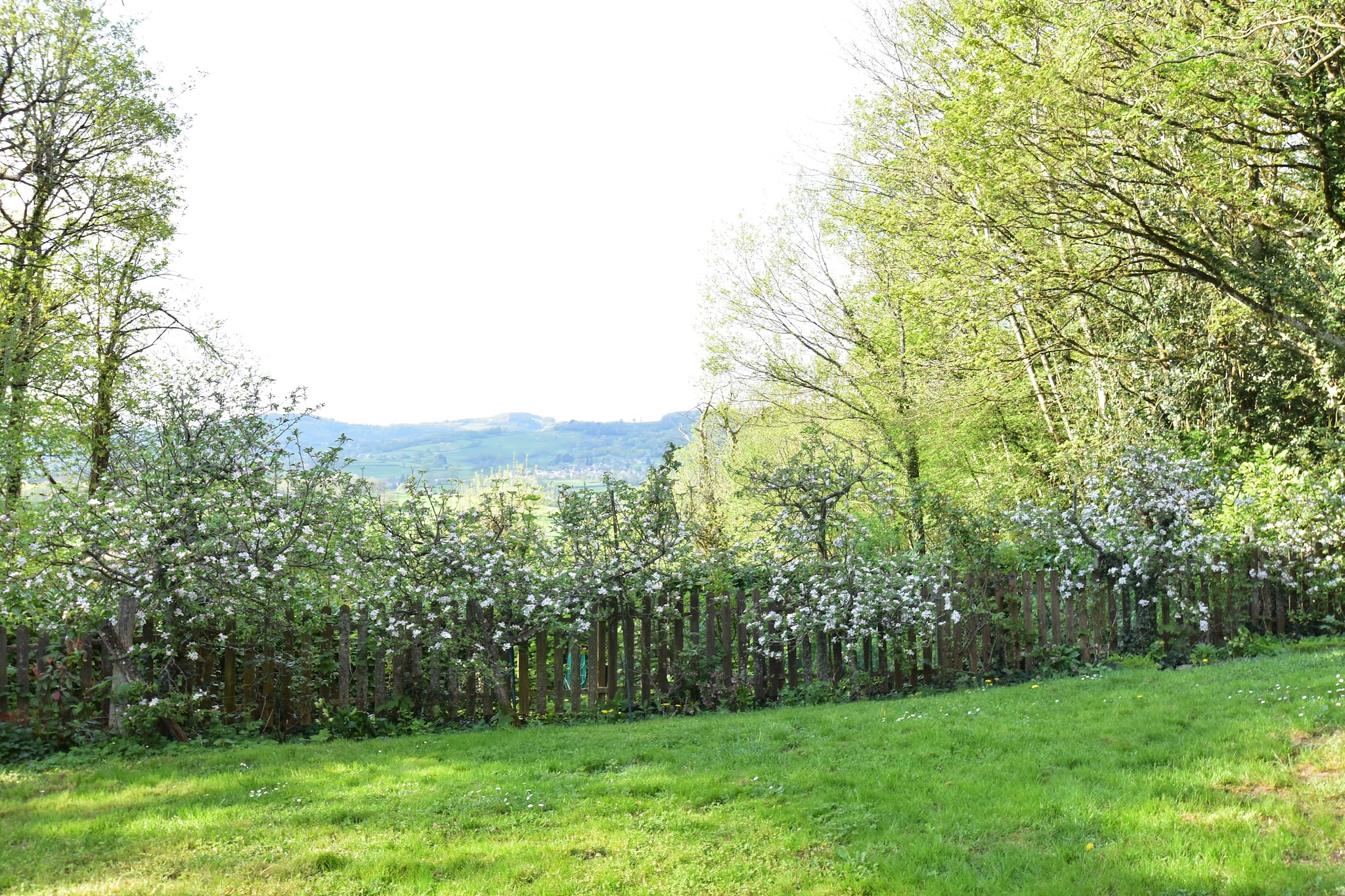 Laiterie du manoir de Thard - Uitzicht zomer