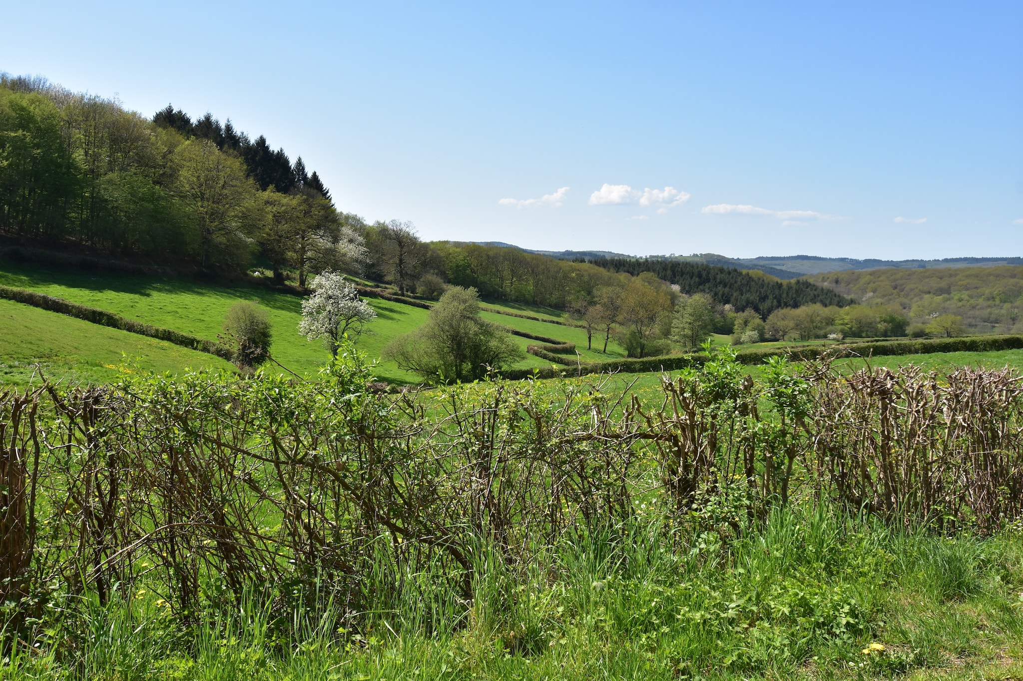 Laiterie du manoir de Thard - Gebieden zomer 20km