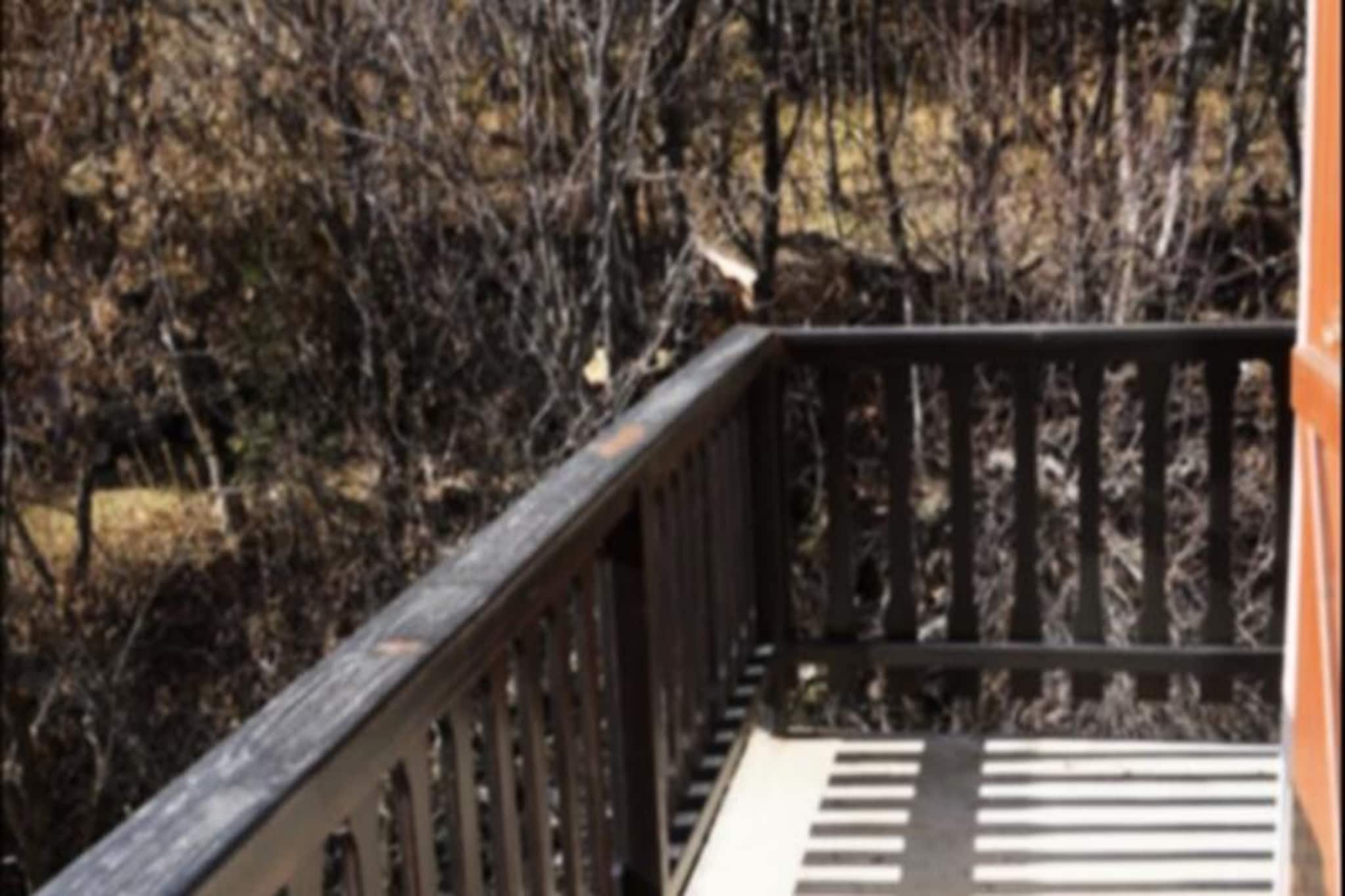 Résidence Le Belvédère-Nicht zugeordnet