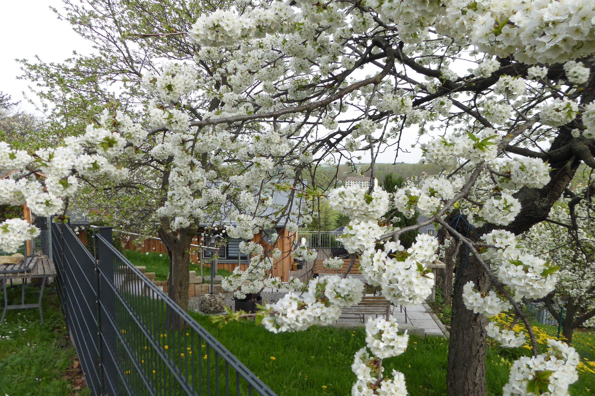 Teufelsmauerblick-Tuinen zomer