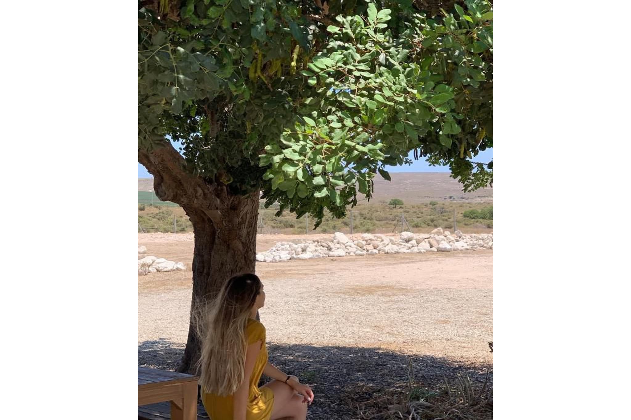 CT 354 AL - Faro's Casa Piedra - Agua Amarga - Cabo de Gata