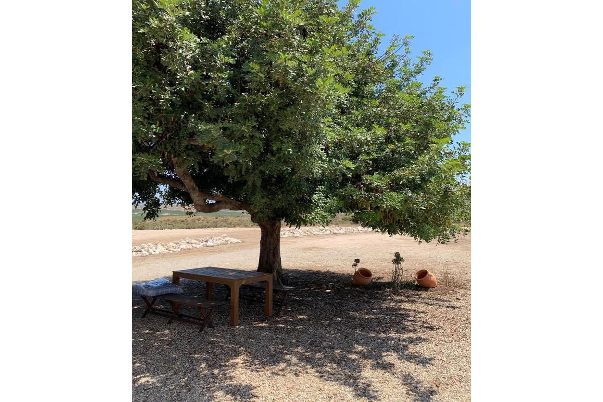 CT 354 AL - Faro's Casa Piedra - Agua Amarga - Cabo de Gata-Gebieden zomer 5km