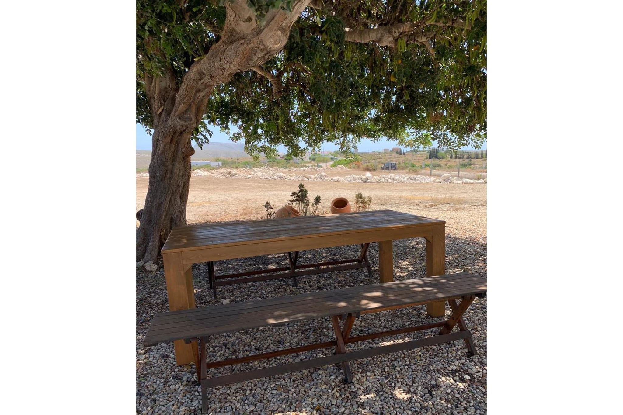 CT 354 AL - Faro's Casa Piedra - Agua Amarga - Cabo de Gata-Tuinen zomer