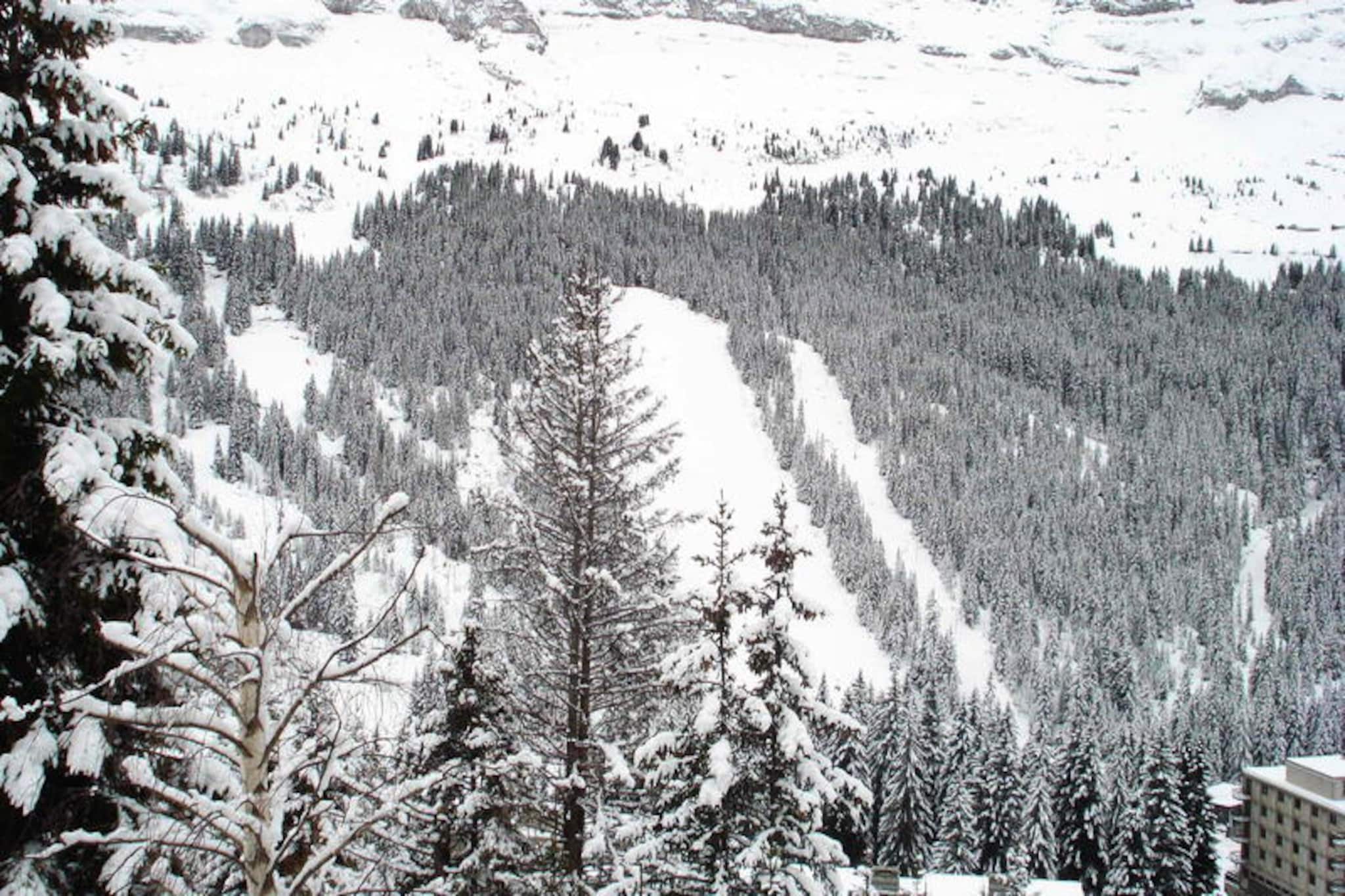 Comfortable apartment · At the foot of the slopes · Free and unlimited WIFI · Terrace