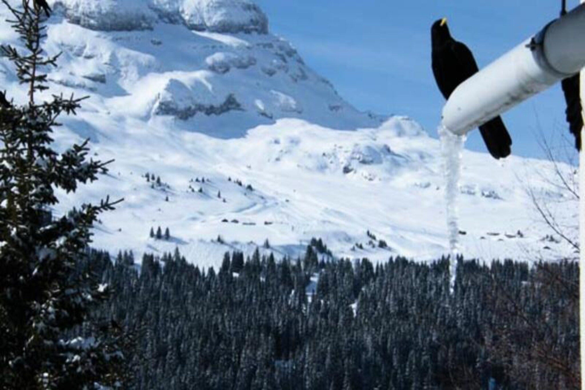 Comfortable apartment · At the foot of the slopes · Free and unlimited WIFI · Terrace