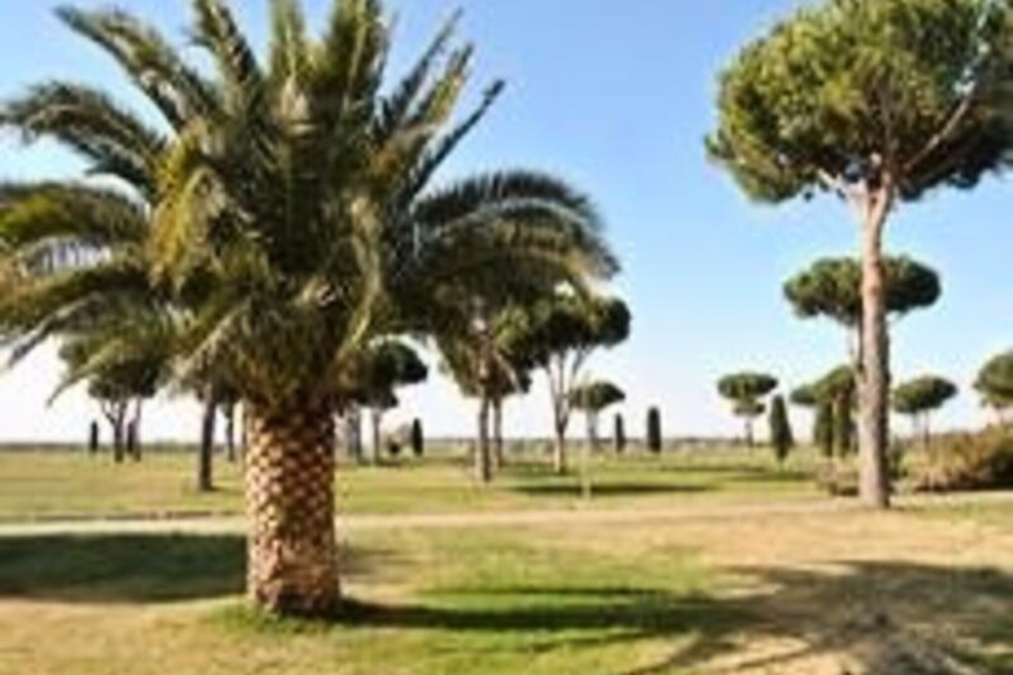 Apartment in Grau-du-Roi near the Beach