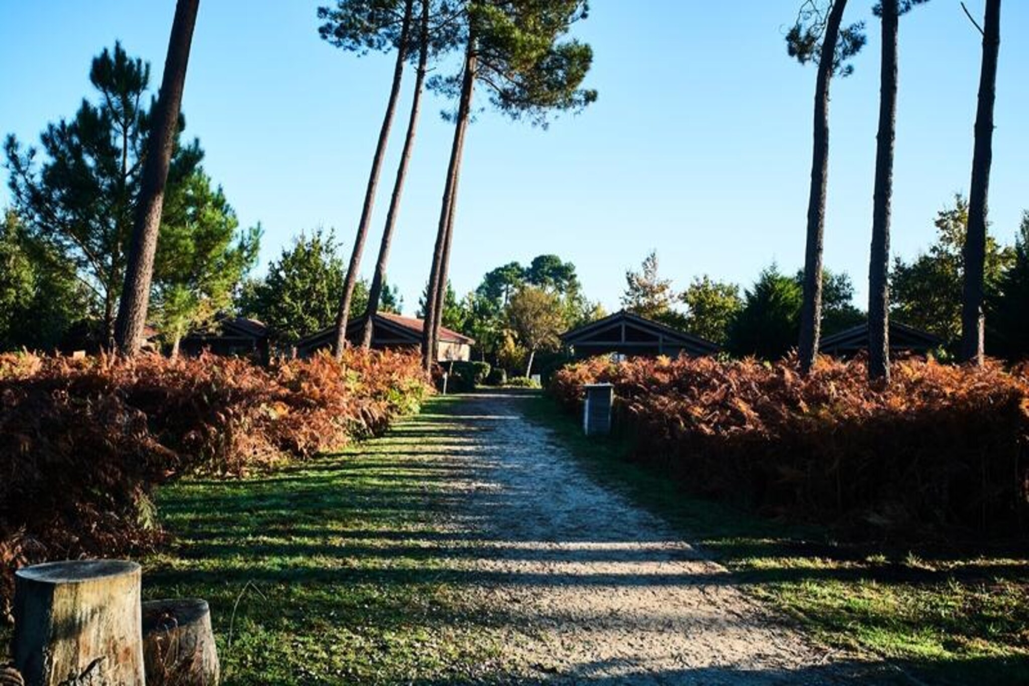 Résidence Les Cottages du Lac ***-Non tagué