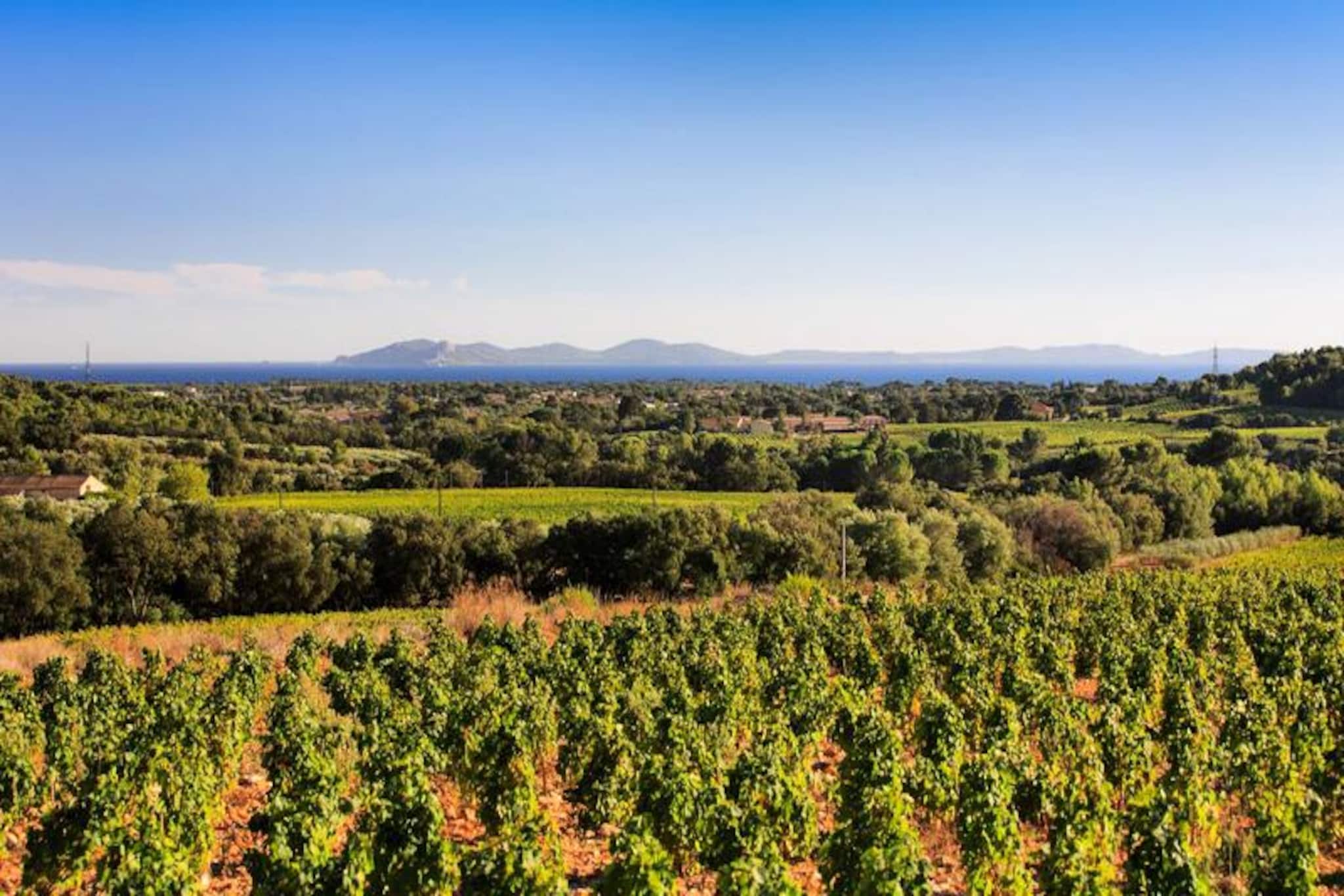 Résidence Le Plantier-la Londe Les Maures-Niet-getagd