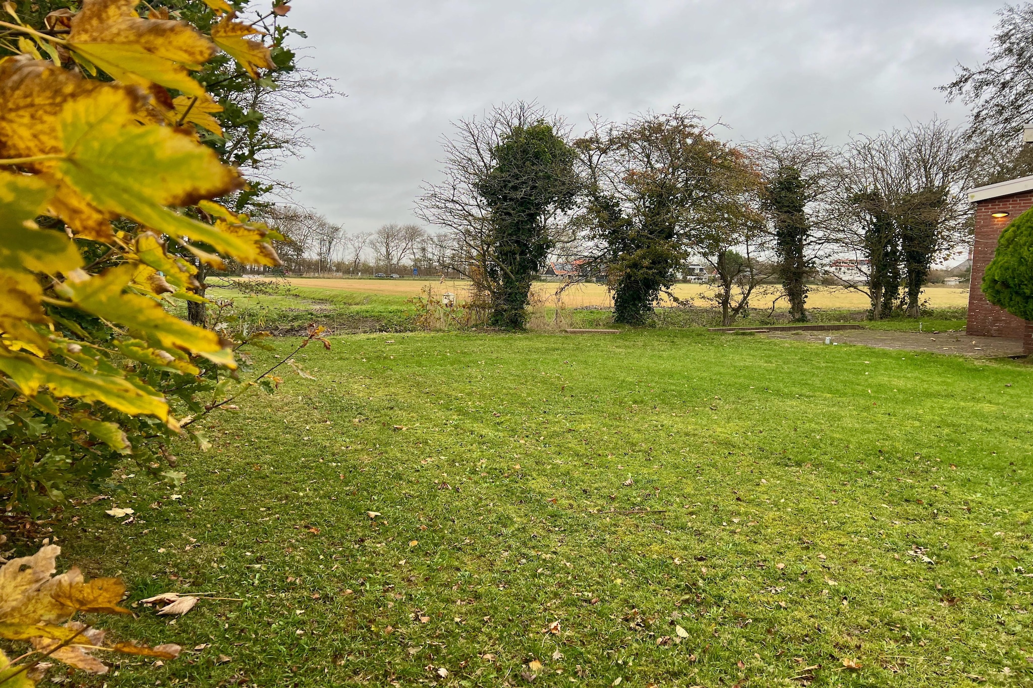 Eureka 102 (copy)-Gardens in summer