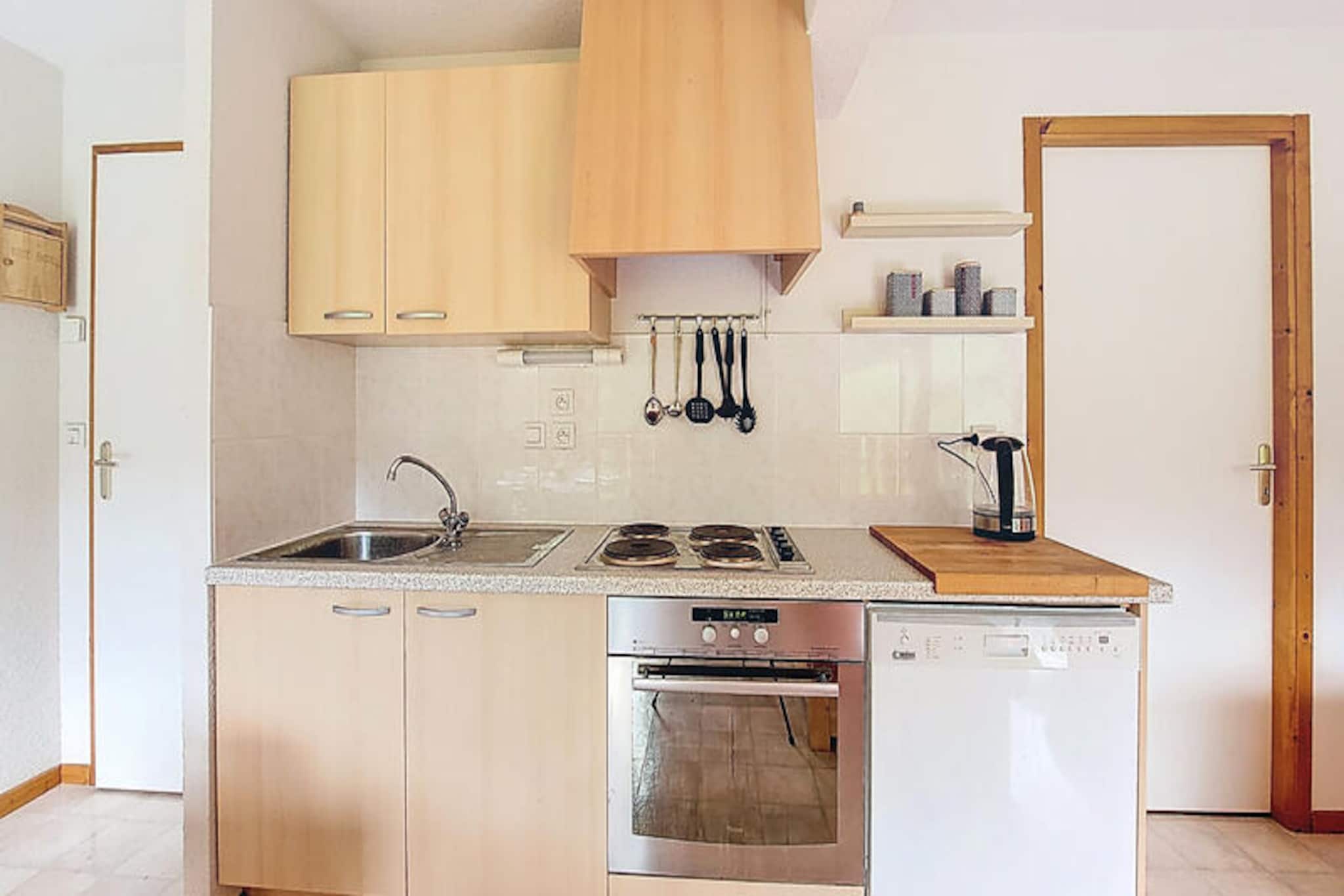 Apartment in Saint Jean D'Aulps Ski View
