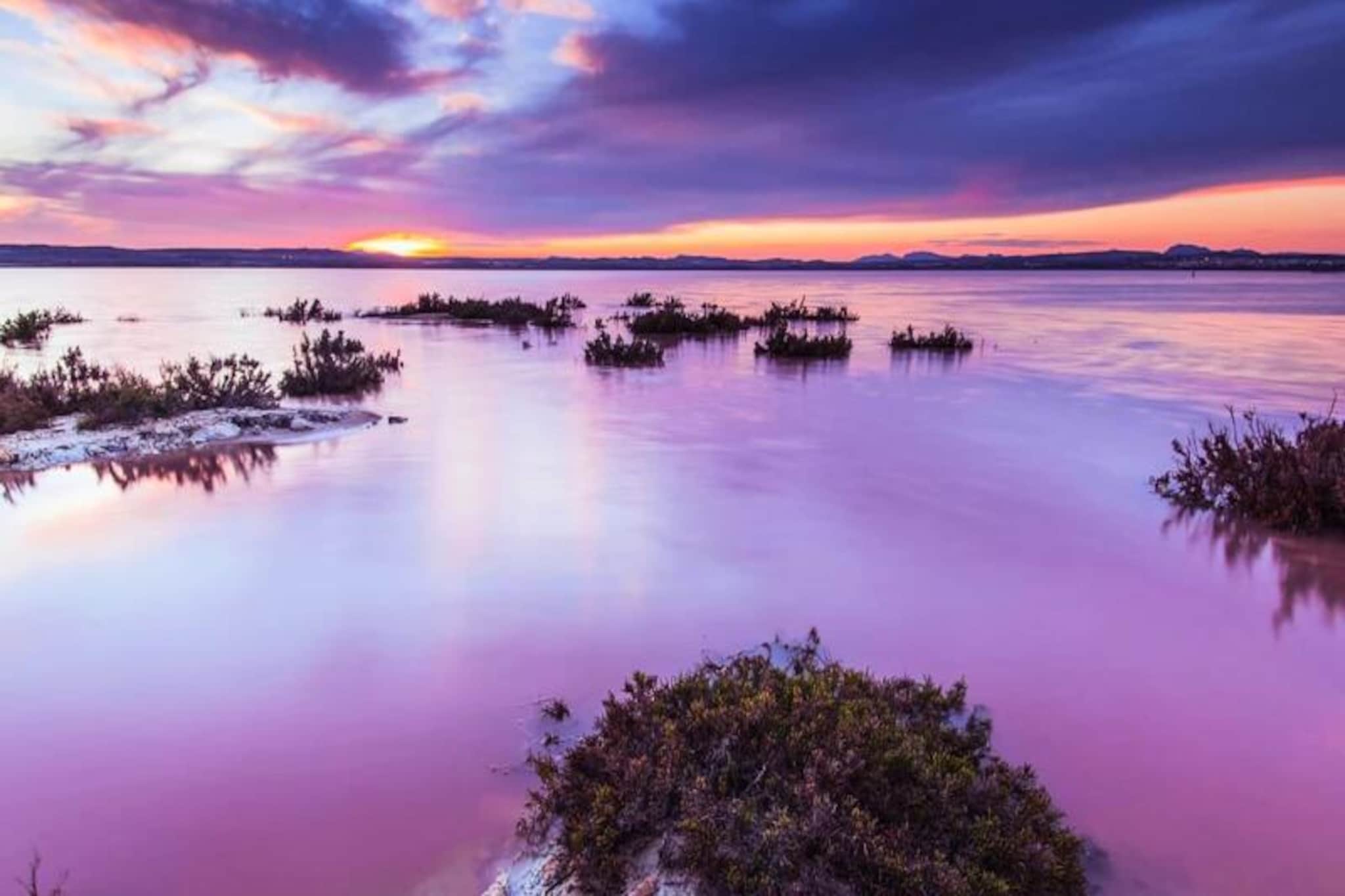 Villa Moderne Avec Piscine Privée Au Golf Vistabella-Untagged
