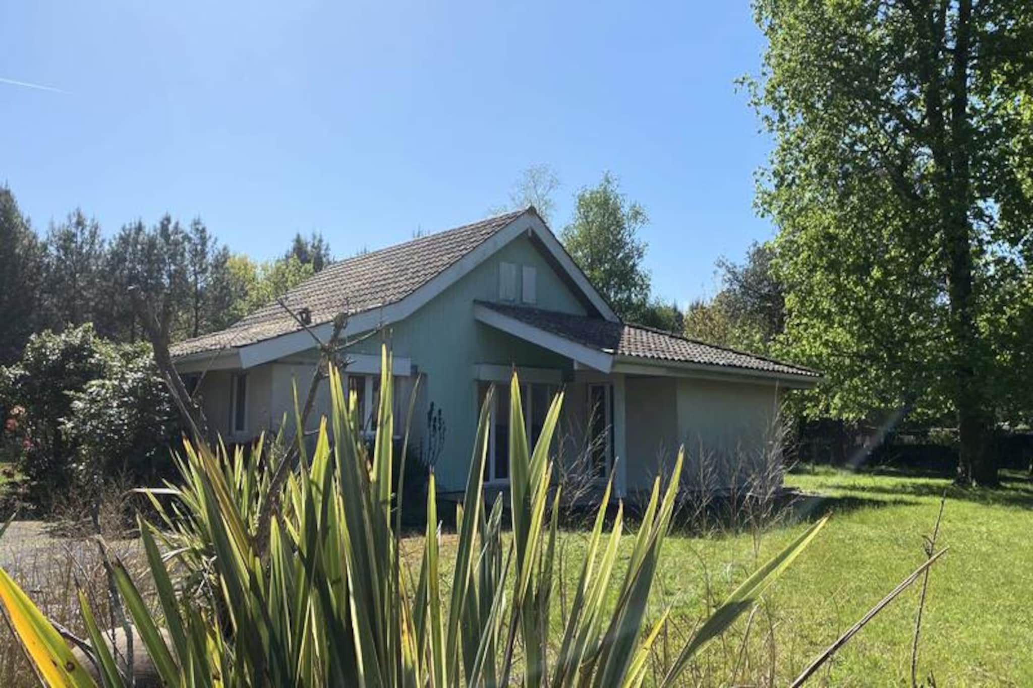 House in Médoc near scenic vineyards