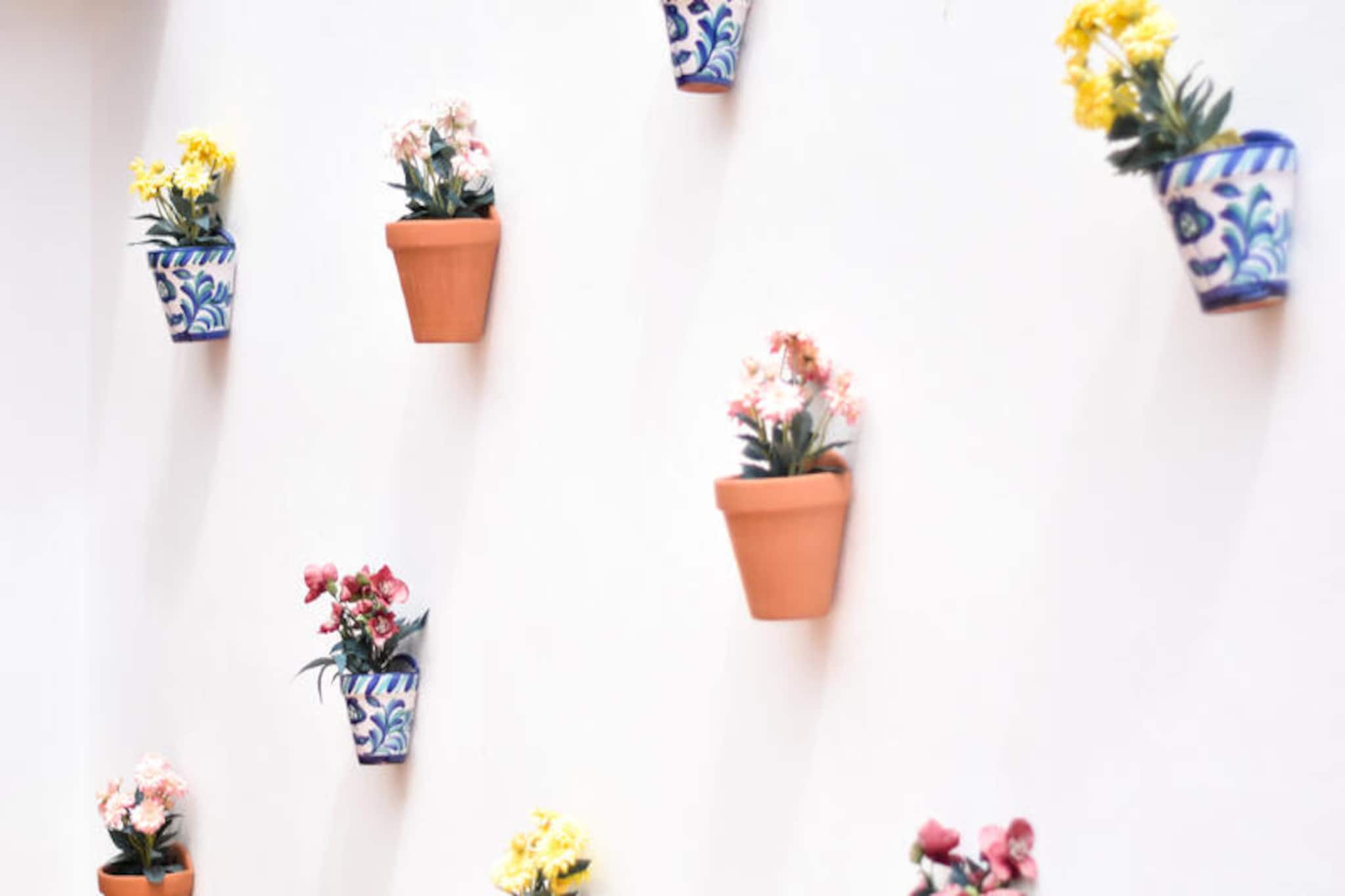 Maison à Moncofar-Nicht zugeordnet