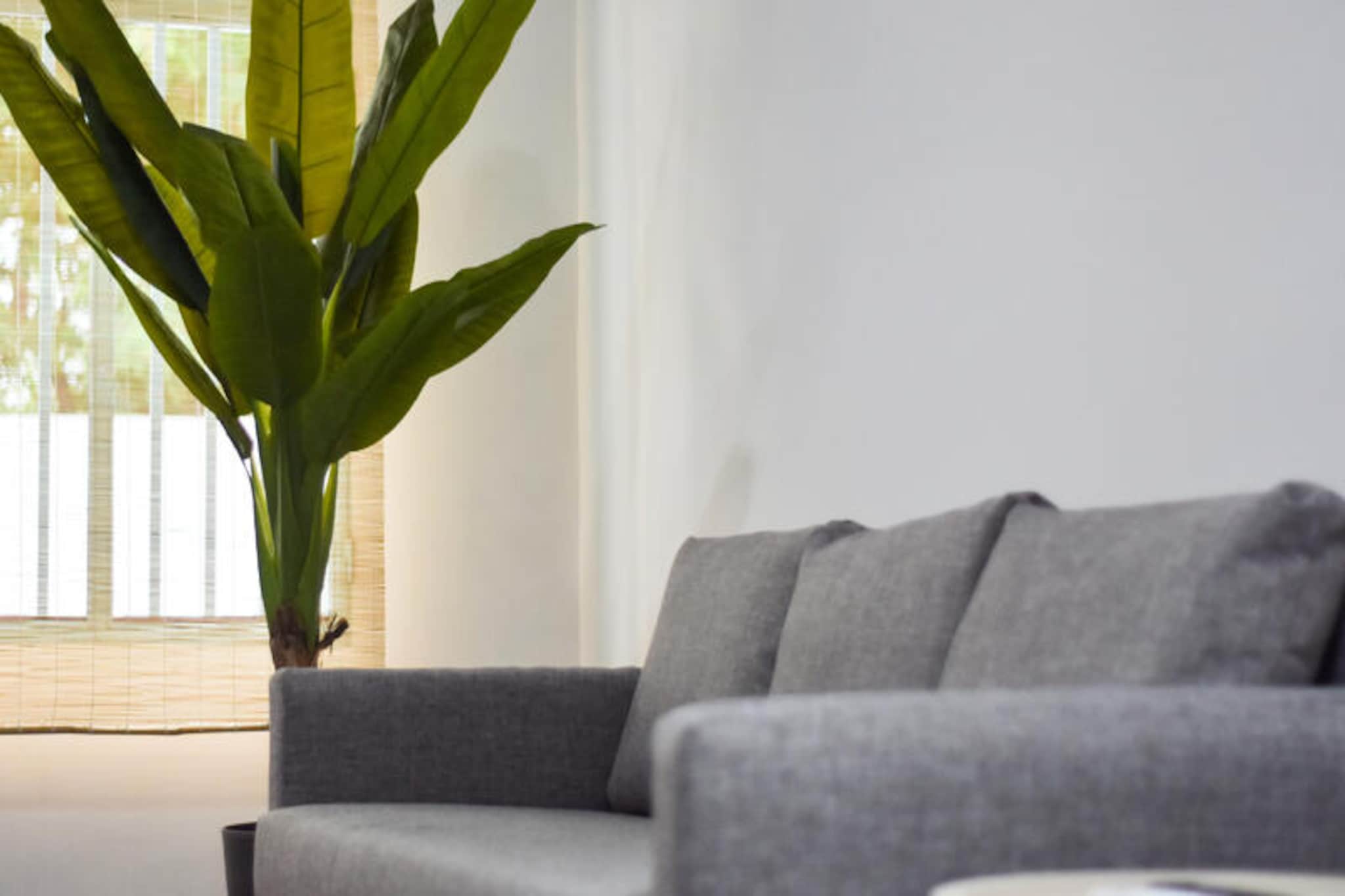 Maison à Moncofar-Nicht zugeordnet