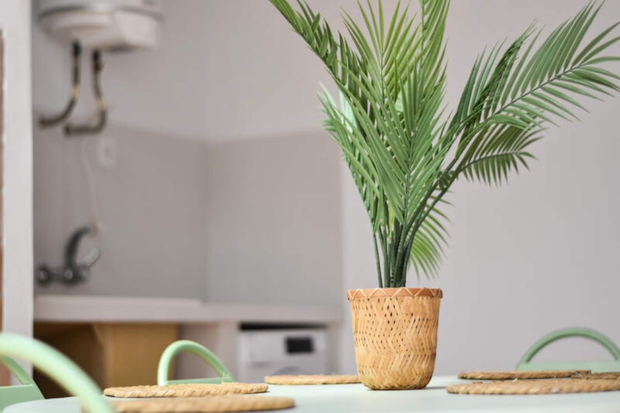 Maison à Moncofar-Nicht zugeordnet