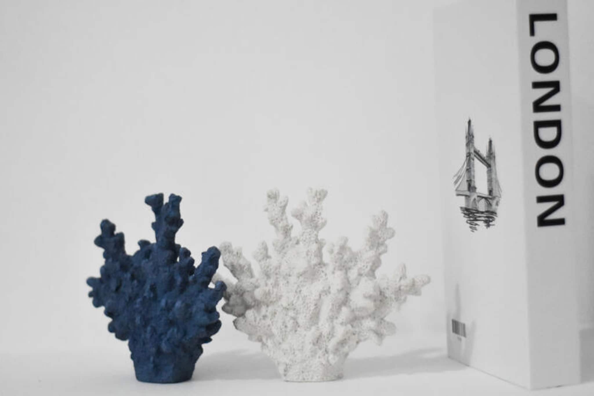 Maison à Moncofar-Nicht zugeordnet