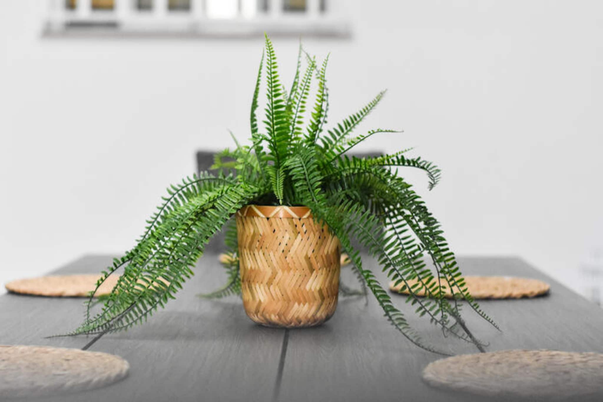 Maison à Moncofar-Nicht zugeordnet