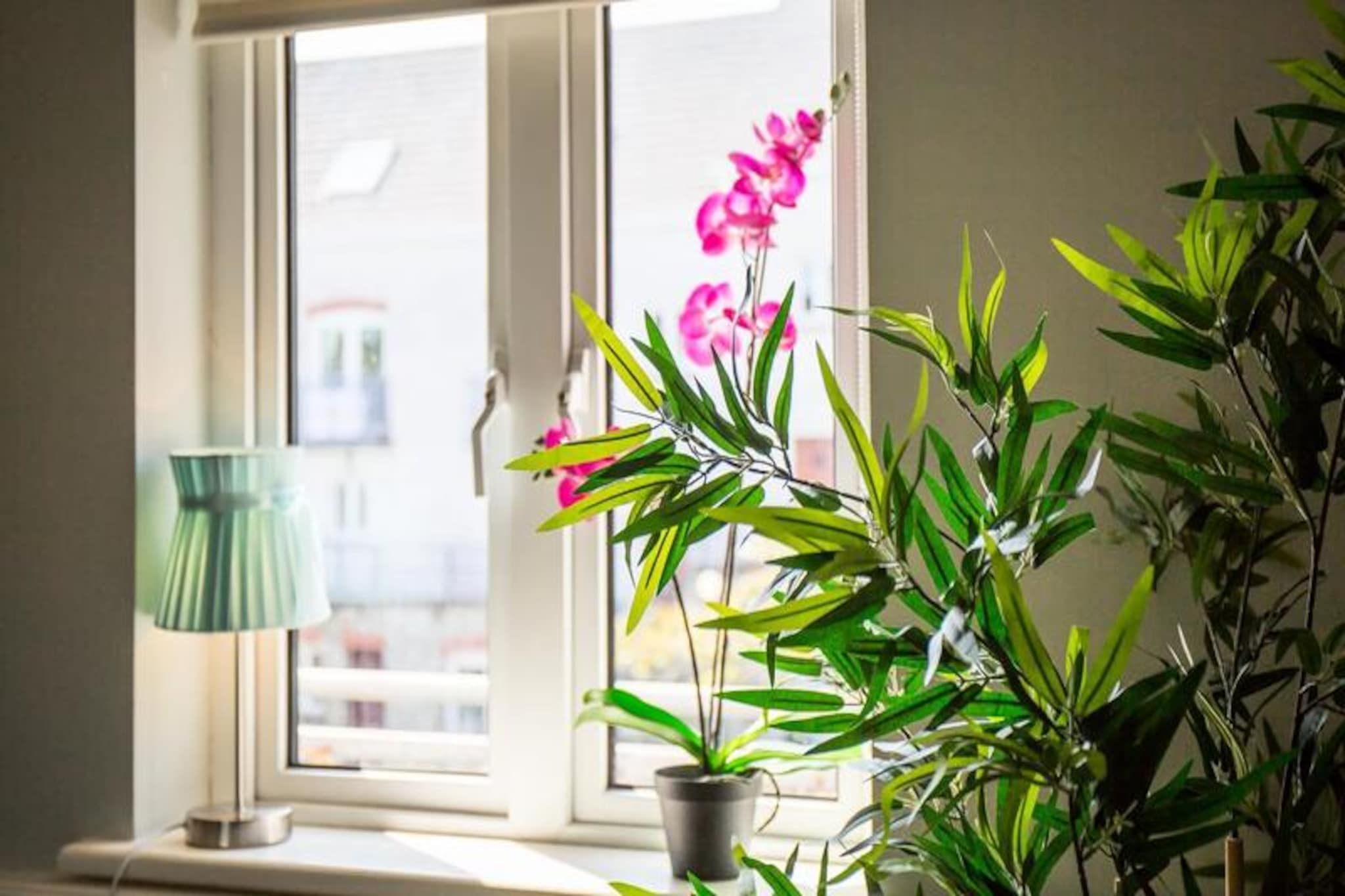 Appartements à Clifden Galway-Untagged