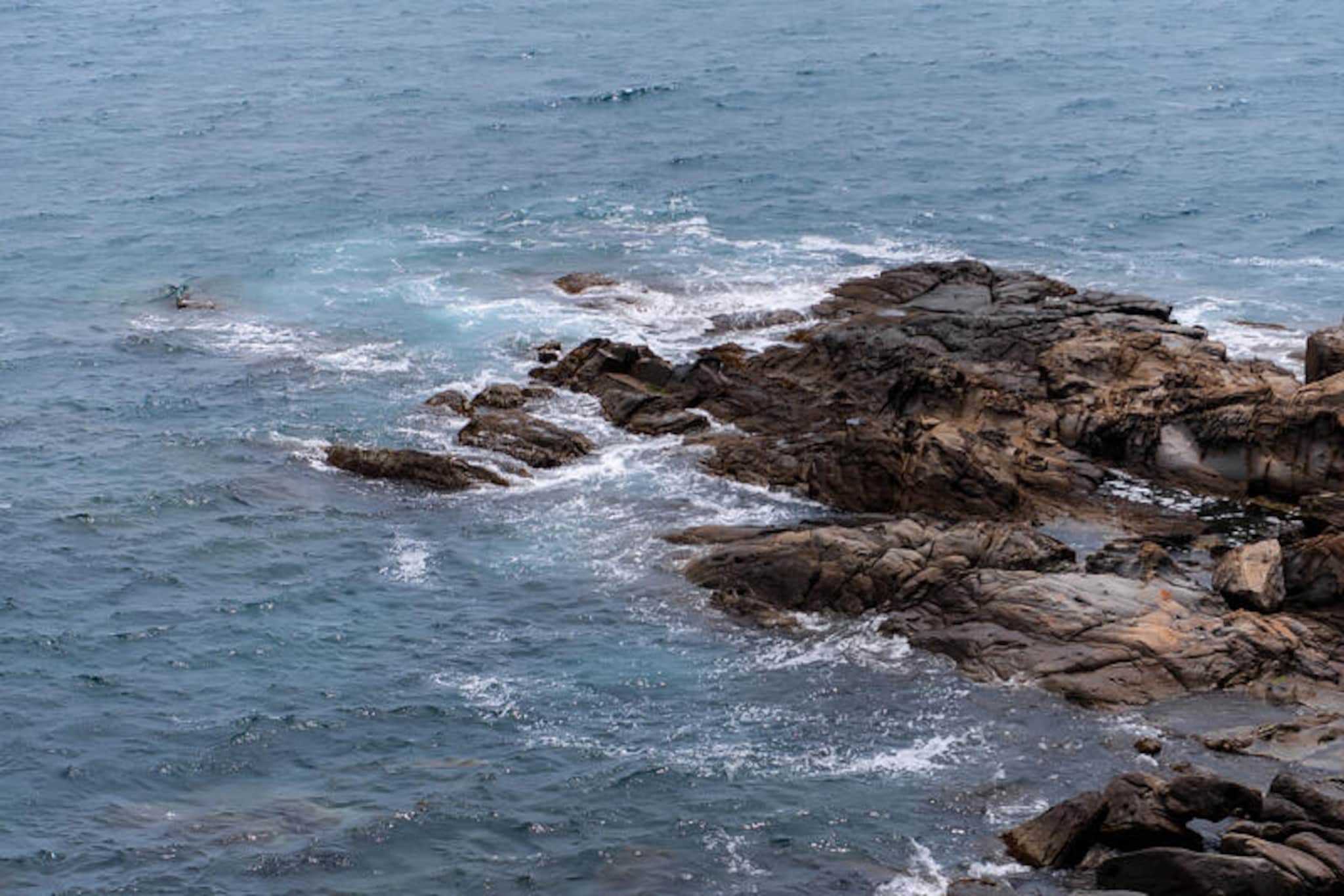 Appartements à Roses-Nicht zugeordnet