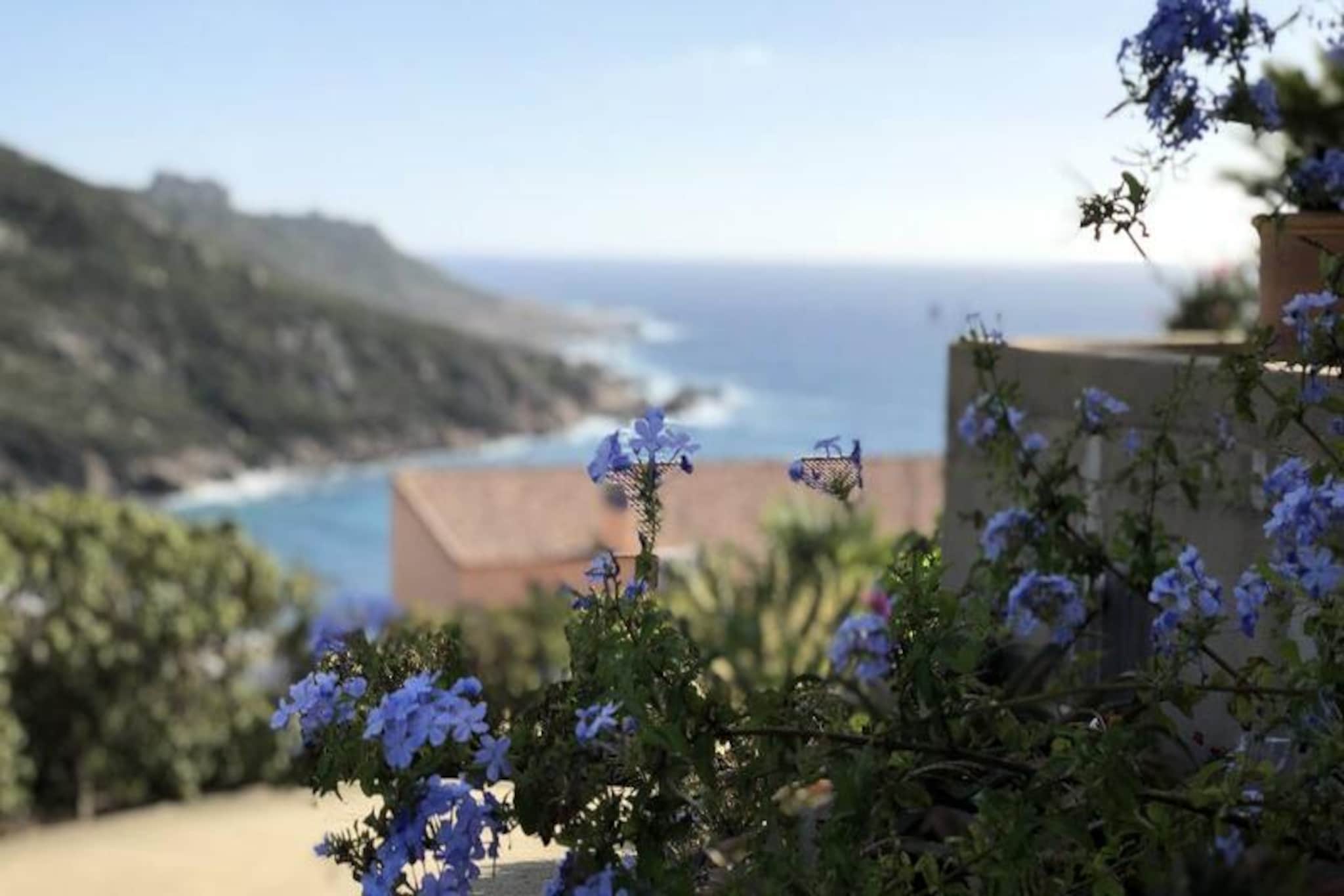 Résidence Sull001-sartene-Untagged