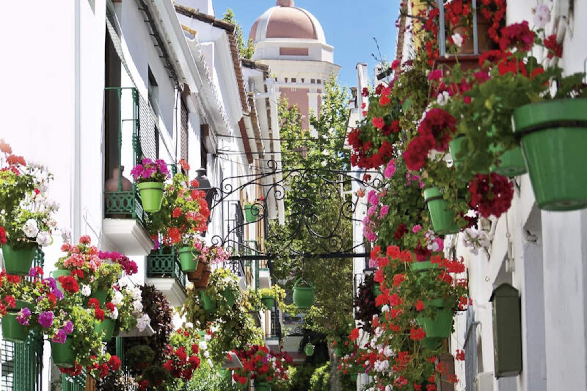 Appartements à Casares-Nicht zugeordnet