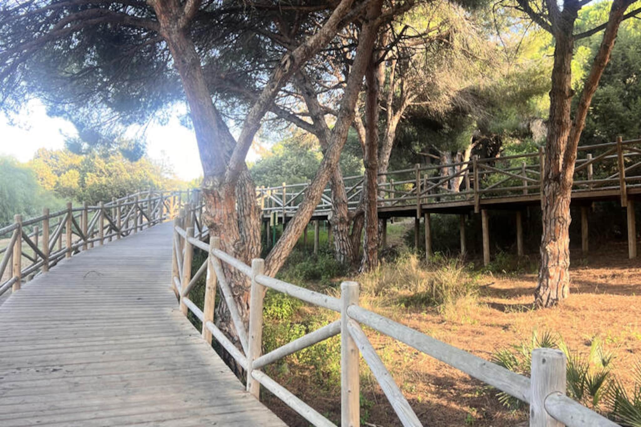 Appartements à Marbella-Nicht zugeordnet