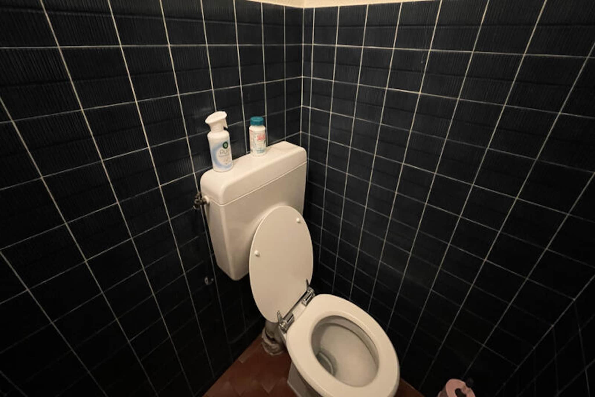 Chalets à Le Lioran-Niet-getagd