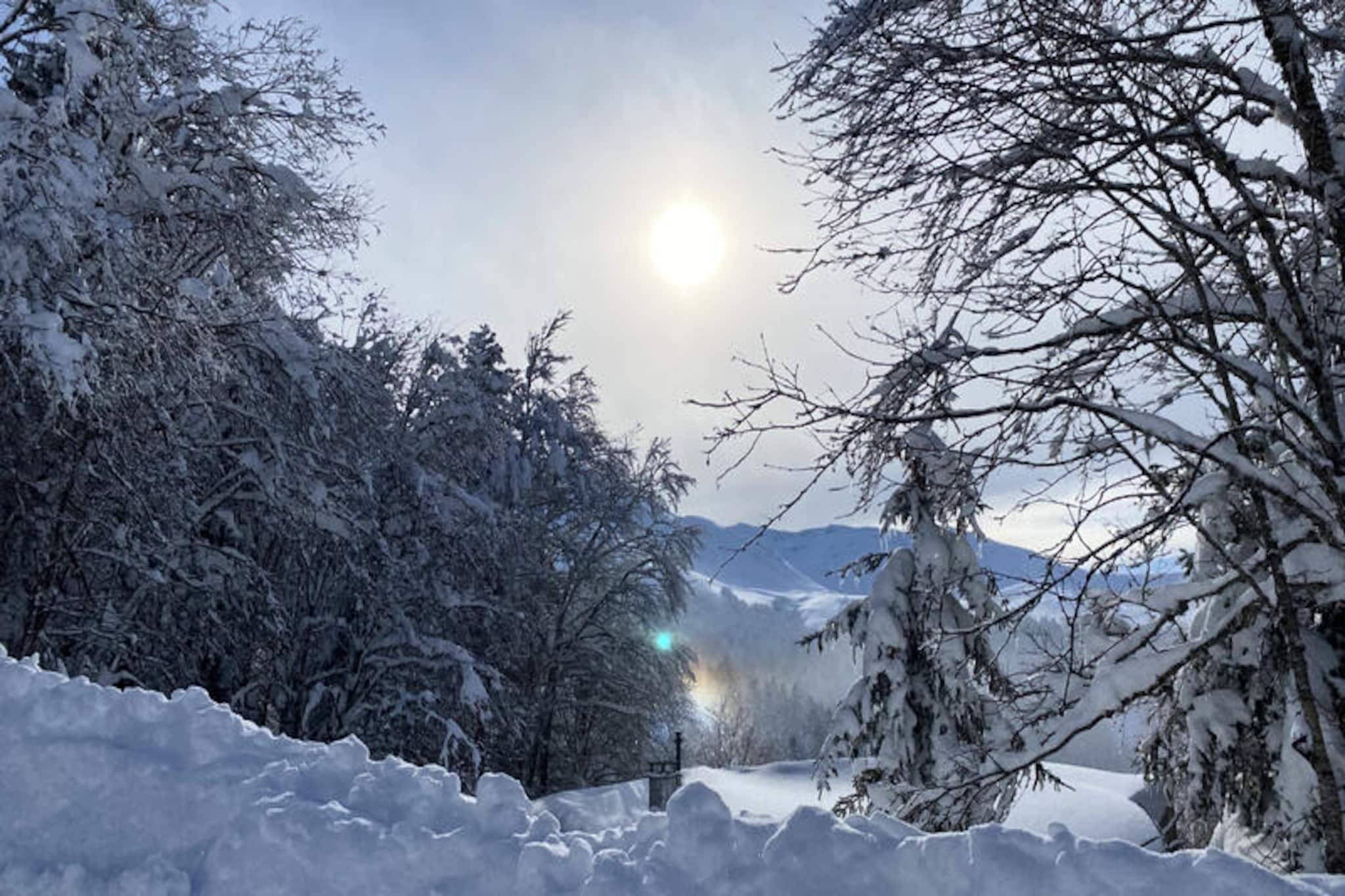Chalets à Le Lioran-Niet-getagd