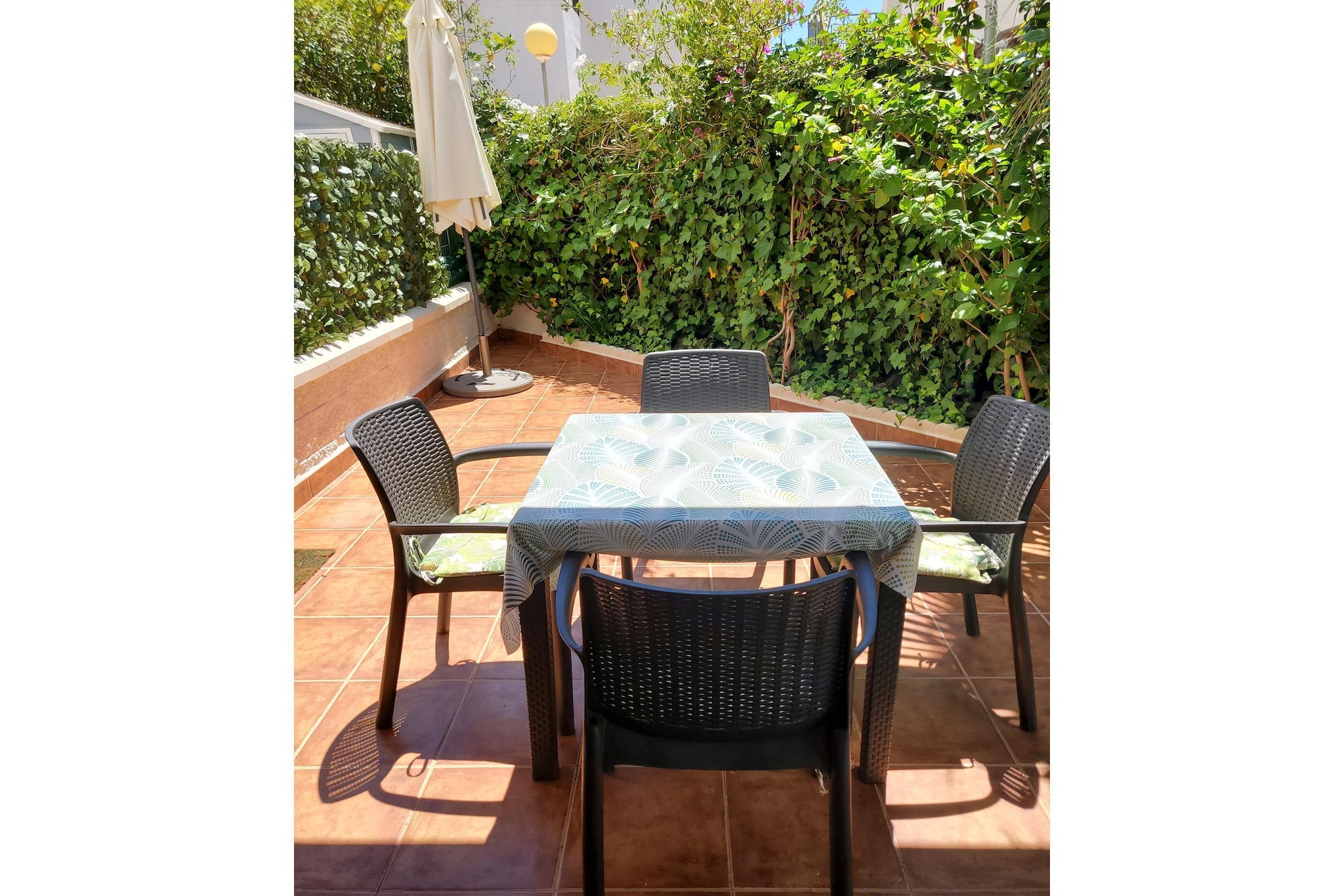 CT 367 AL - Faro's Casa Extradionaria - Urbanización Natura World-Terrasse/Balkon