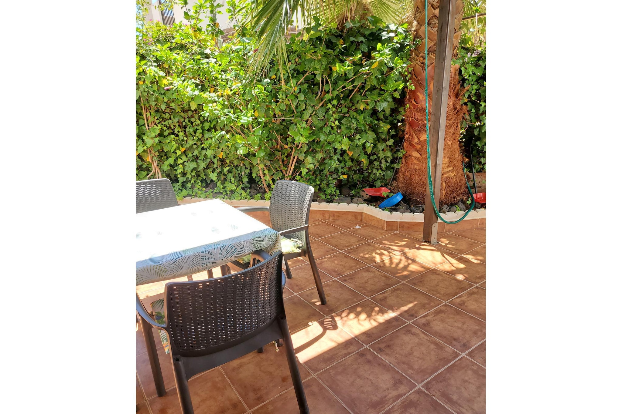 CT 367 AL - Faro's Casa Extradionaria - Urbanización Natura World-Terrasse/Balkon