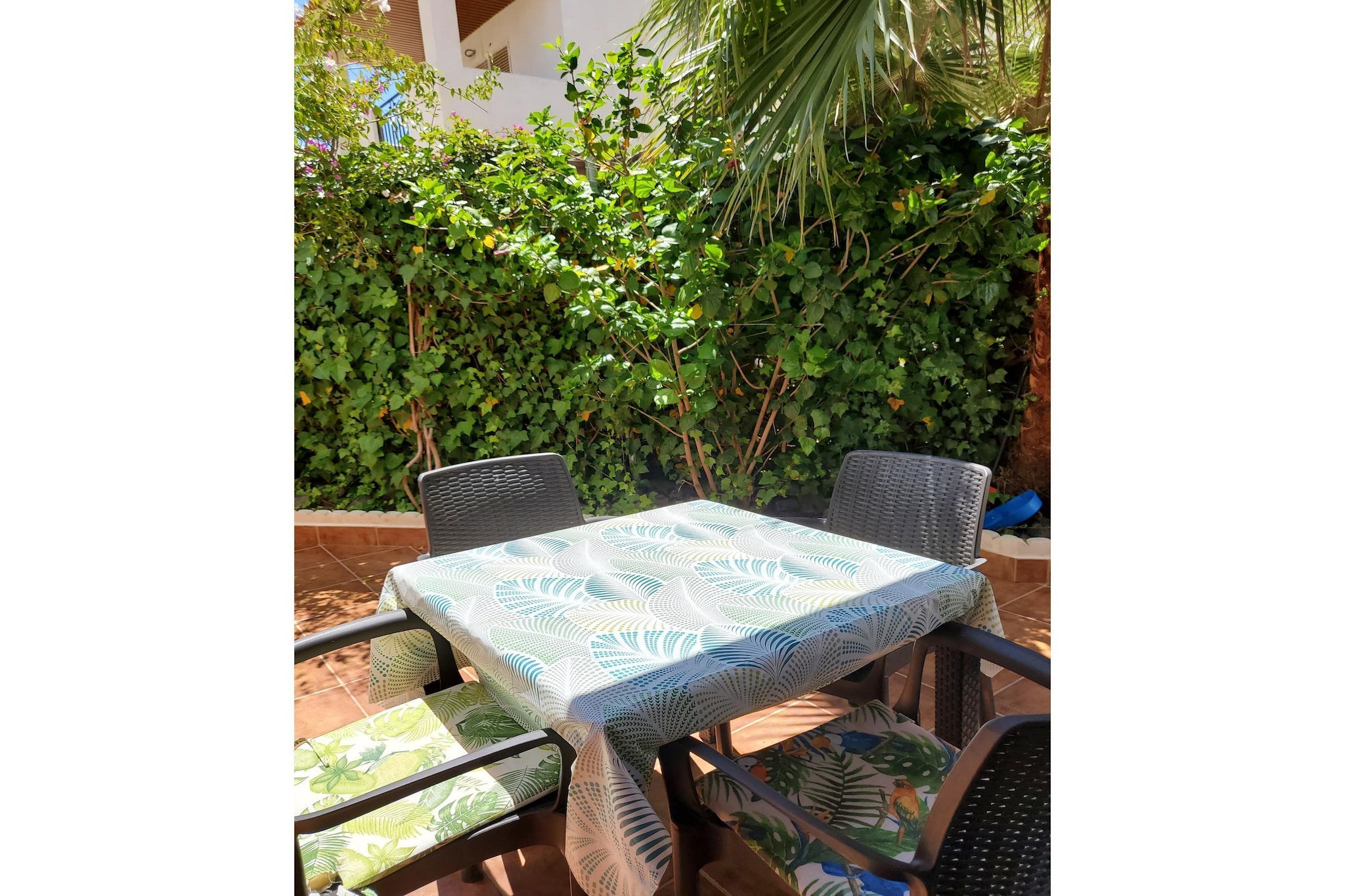 CT 367 AL - Faro's Casa Extradionaria - Urbanización Natura World-Terrasse/Balkon