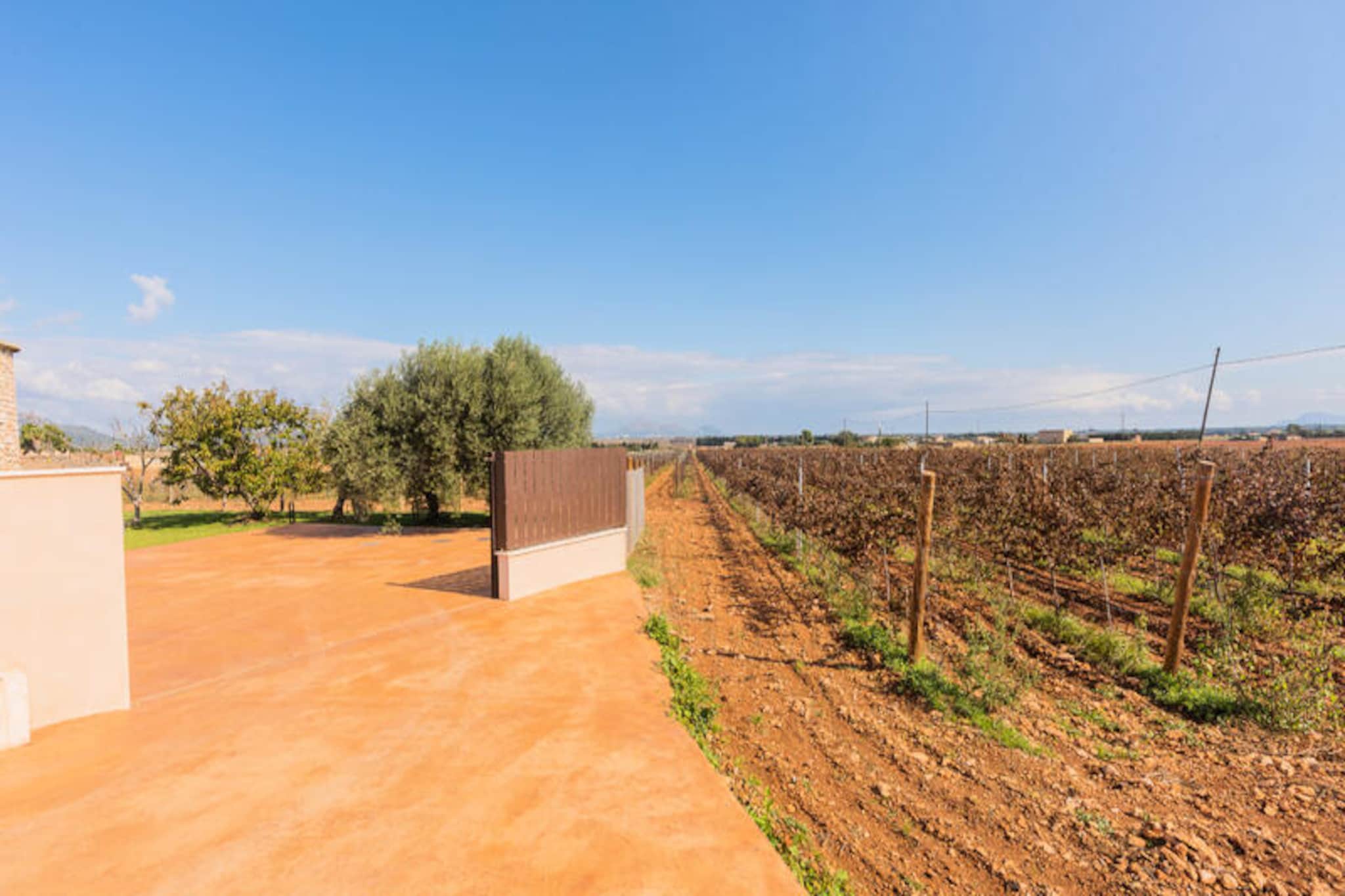 Maison à Muro-Nicht zugeordnet