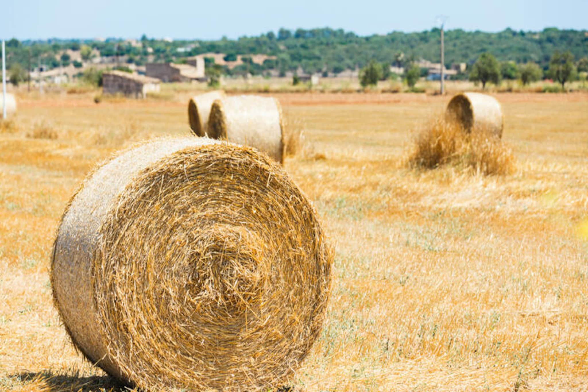 Maison à Muro-Nicht zugeordnet