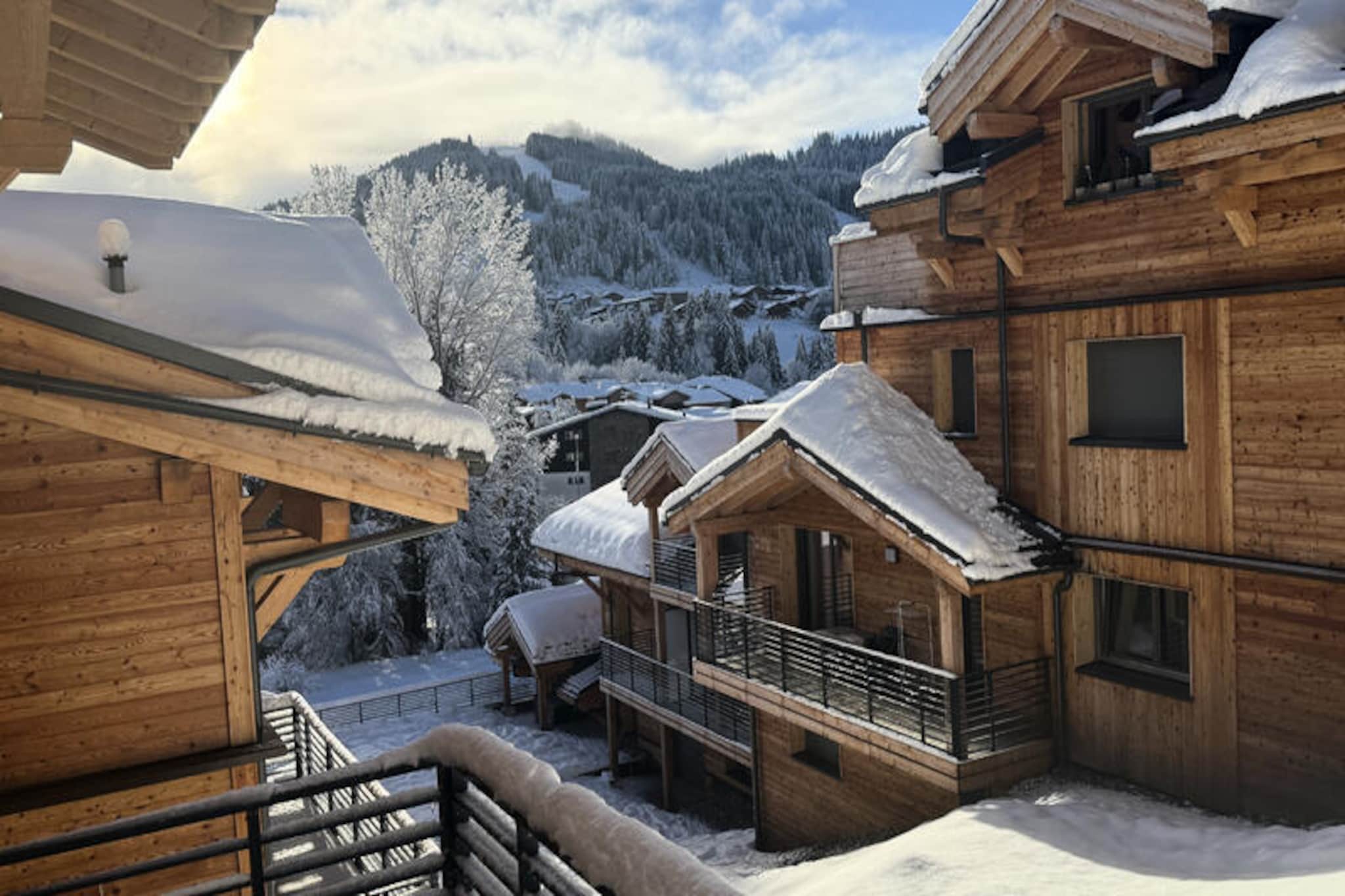 Le Grand Cerf - apartment for 8 people - near the center